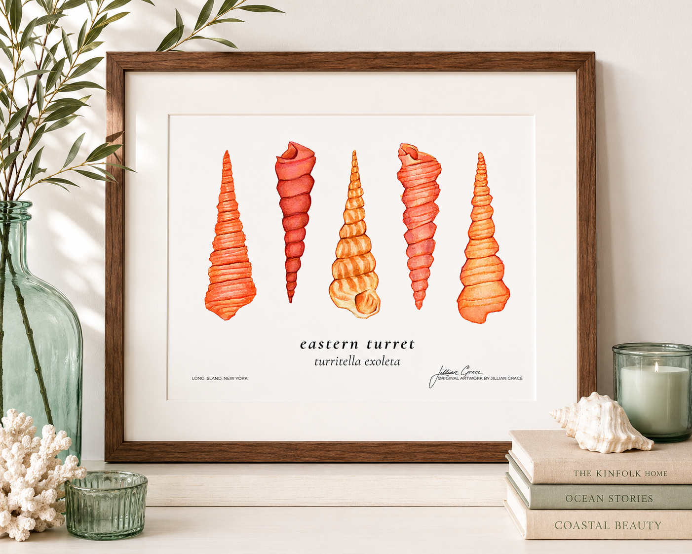 Turritella Shell Original Watercolor Art Print Matte Poster