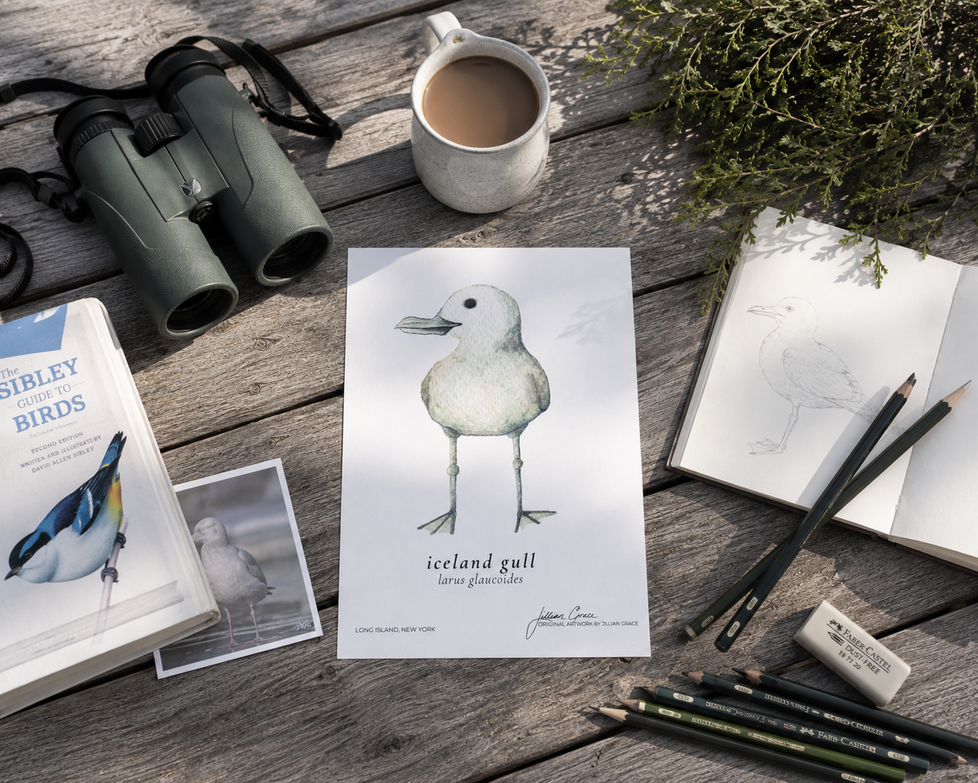Wildlife in August — Long Island Original wildlife artwork by Jillian Grace Studio featuring an eastern cottontail rabbit, white-tailed deer, seagull, horseshoe crab, mute swans, and painted lady butterfly inspired by the wildlife of Long Island.