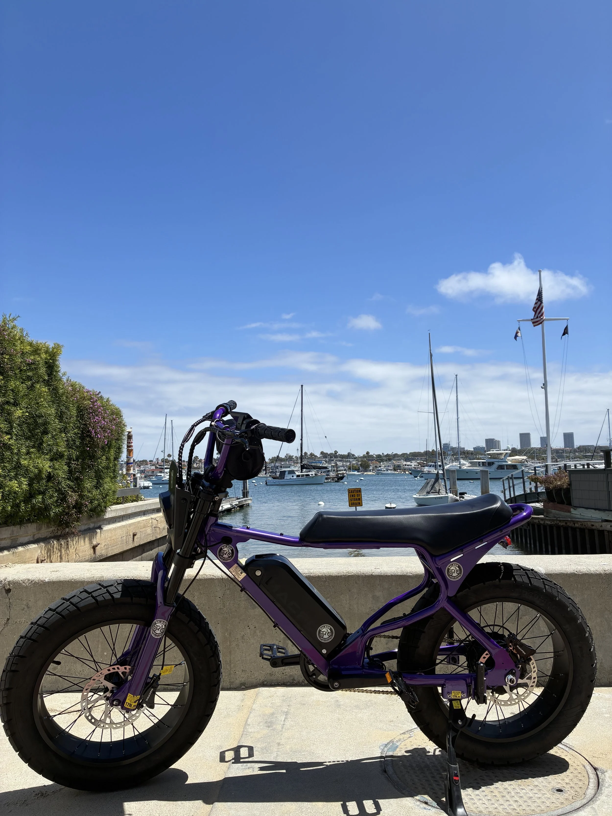 Purple Macfox electric bike parked beside Newport Harbor with sailboats in Newport Beach, California.