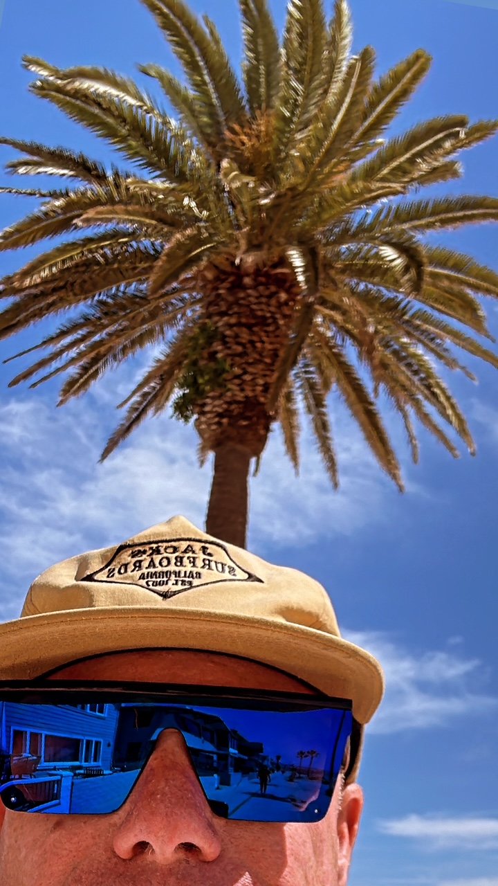 Newport Beach palms