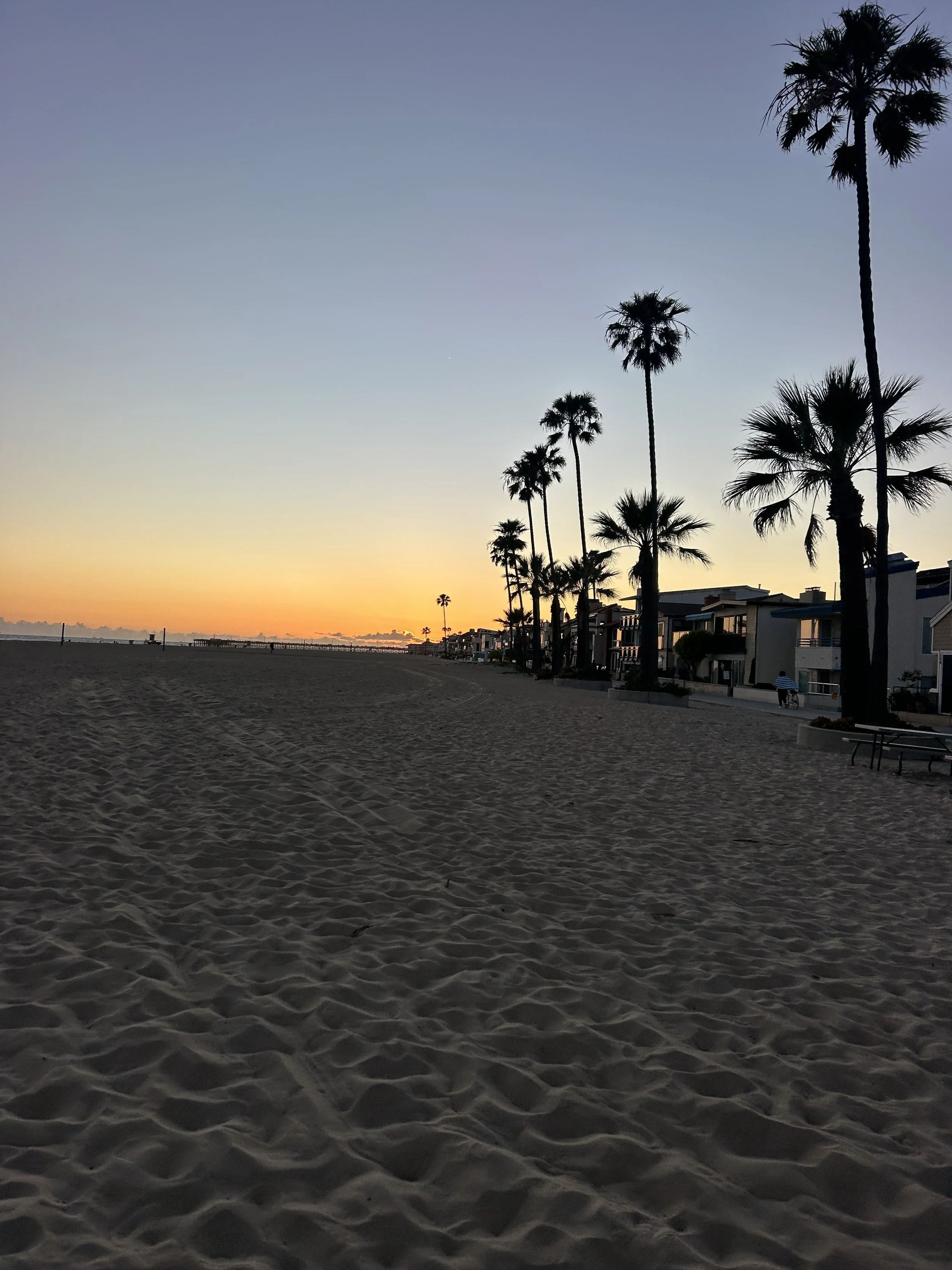 IMG_1036.jpeg