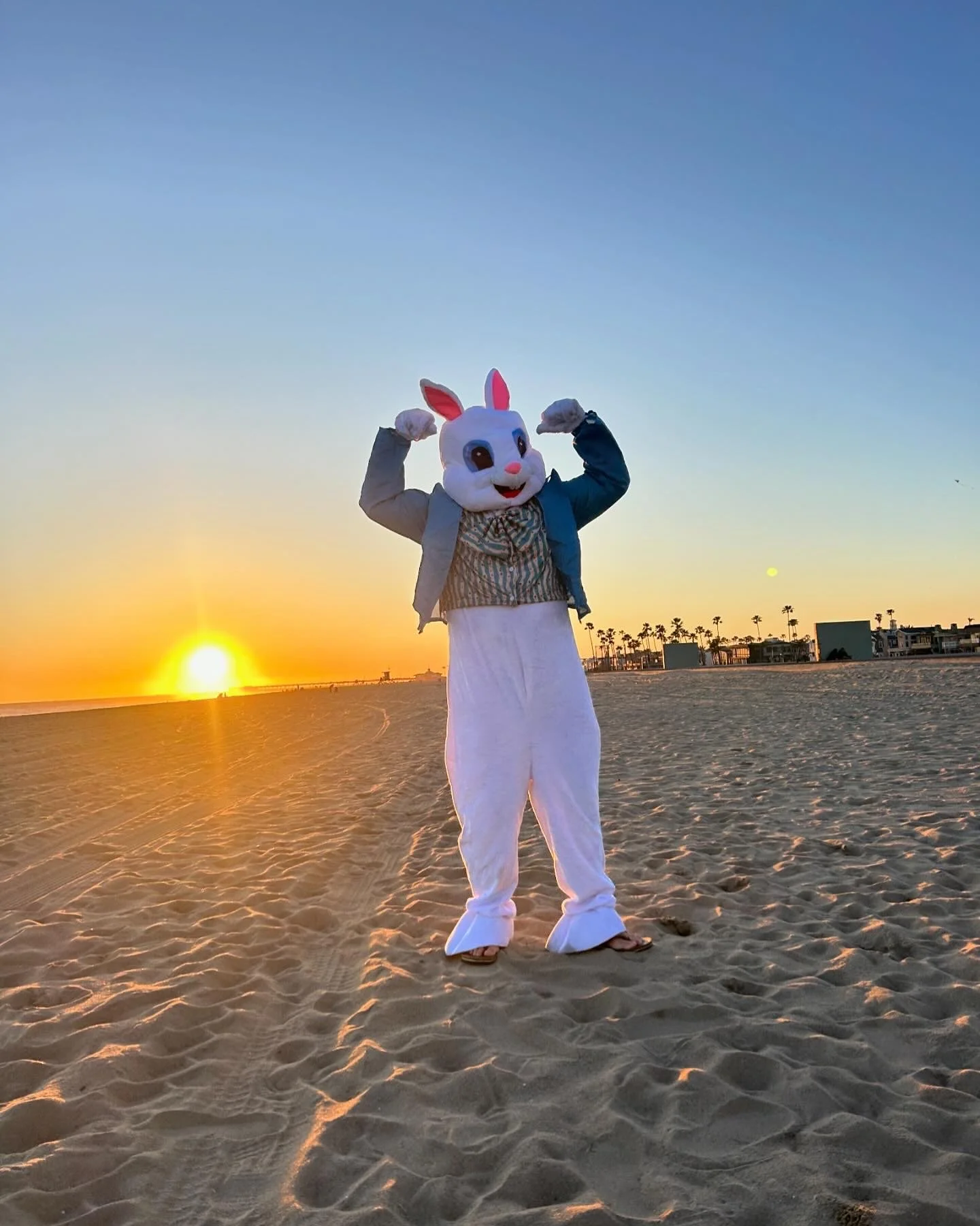 Balboa easter bunny on the beach