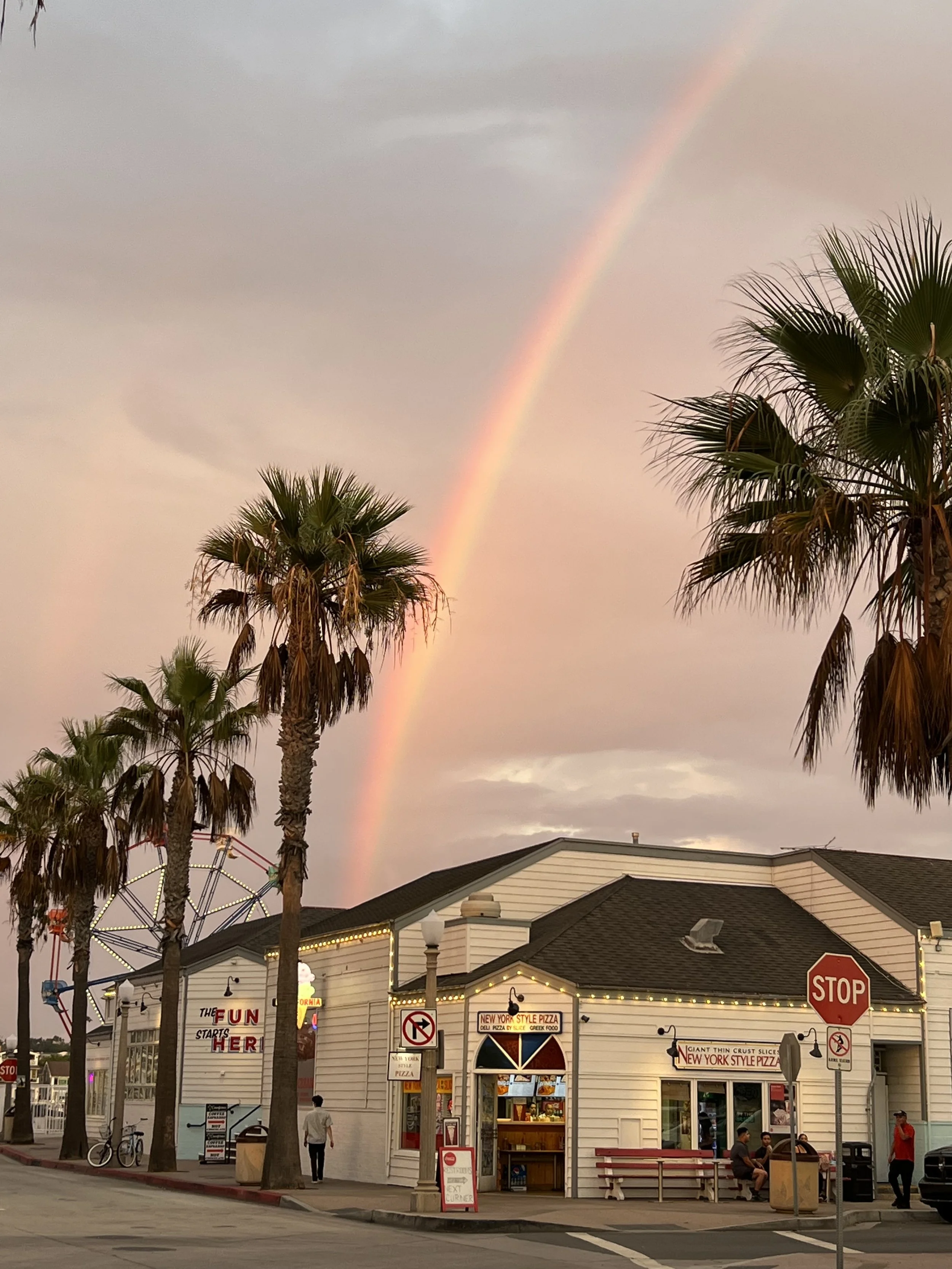Balboa Fun Zone entrance in Newport Beach, California, with shops, attractions, and palm trees after a rainstorm.