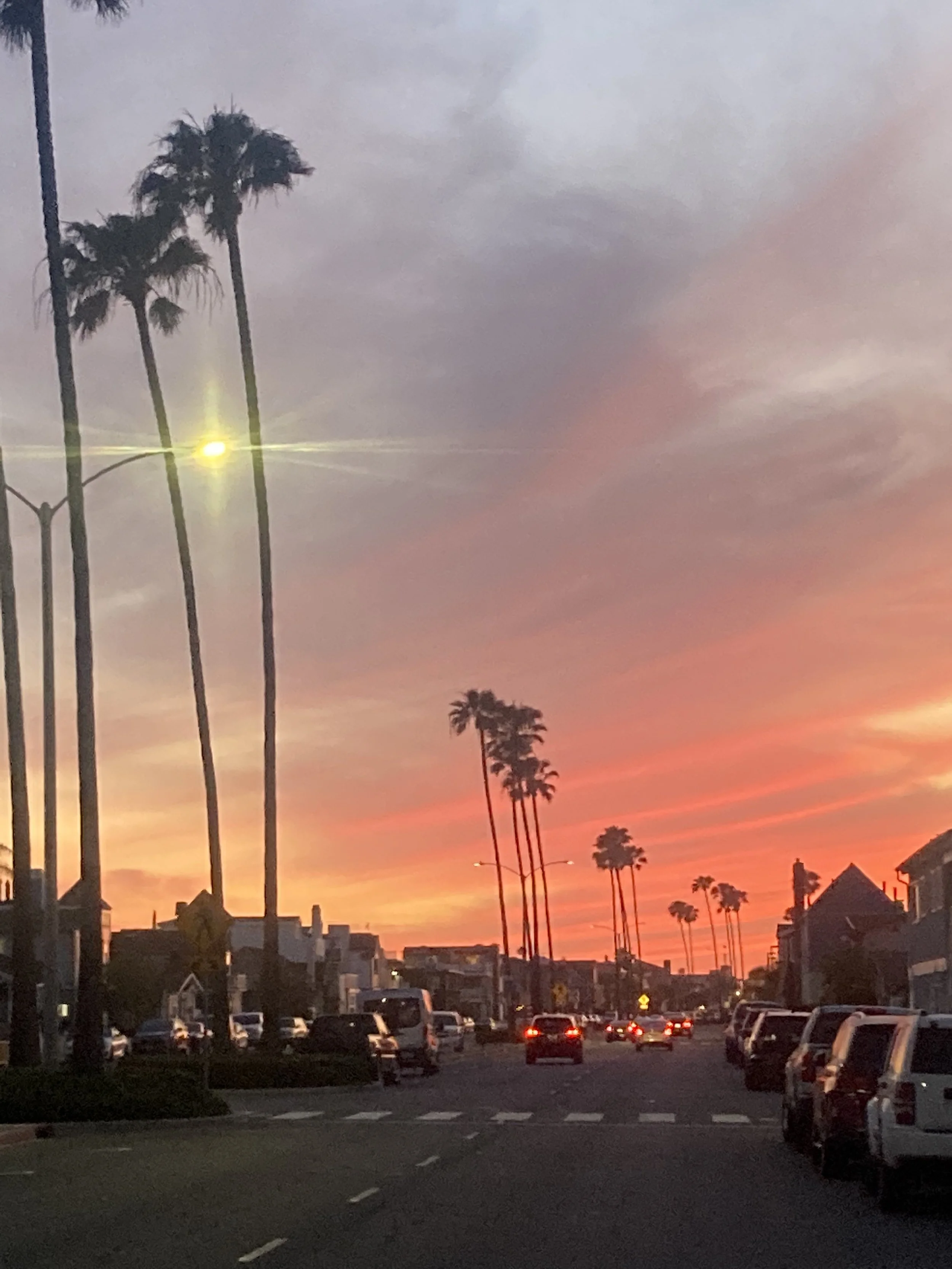 Palm tree-lined street at sunset in Newport Beach, California, near the Balboa Peninsula.