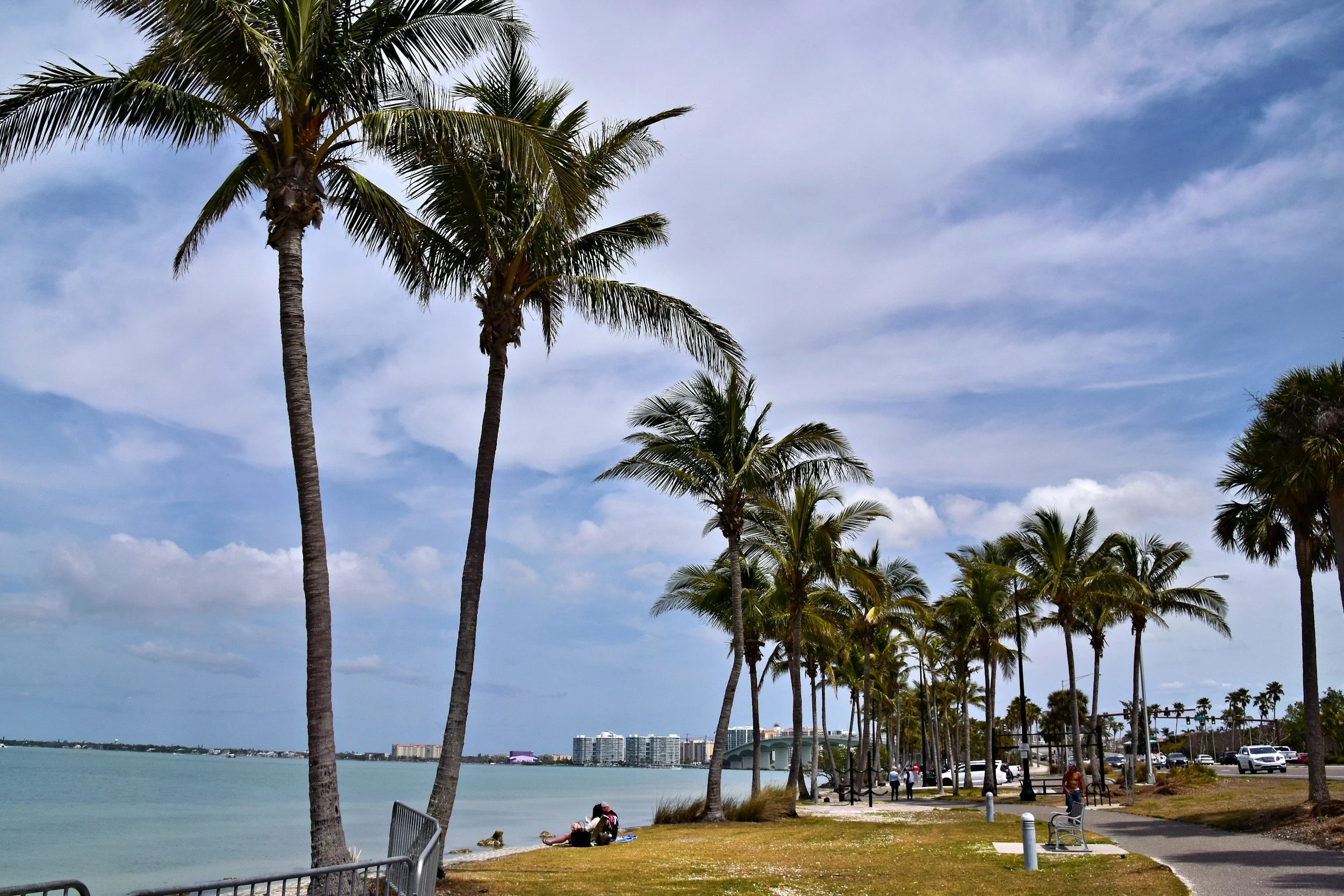 View of a waterfront park with palm trees, benches, and people relaxing, with water and city buildings in the background on a partly cloudy day.