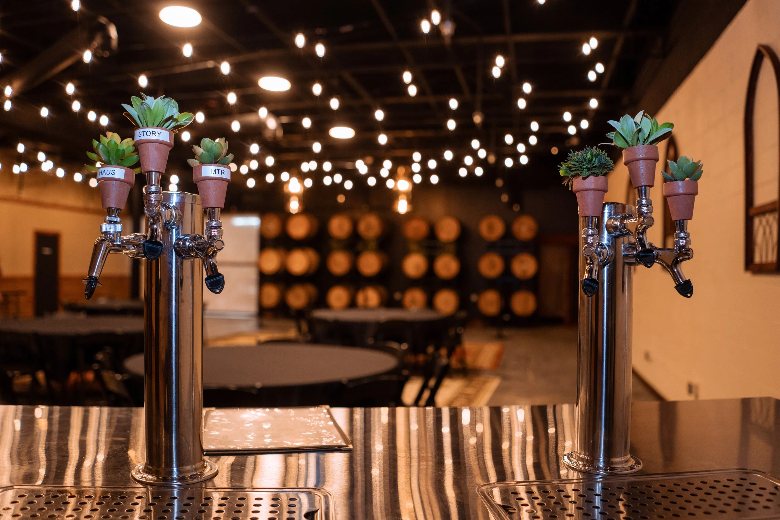 Close-up of metallic beer taps decorated with small potted plants placed on a bar counter, with a background of hanging string lights and a wall of wine barrels in a dimly lit bar or brewery.