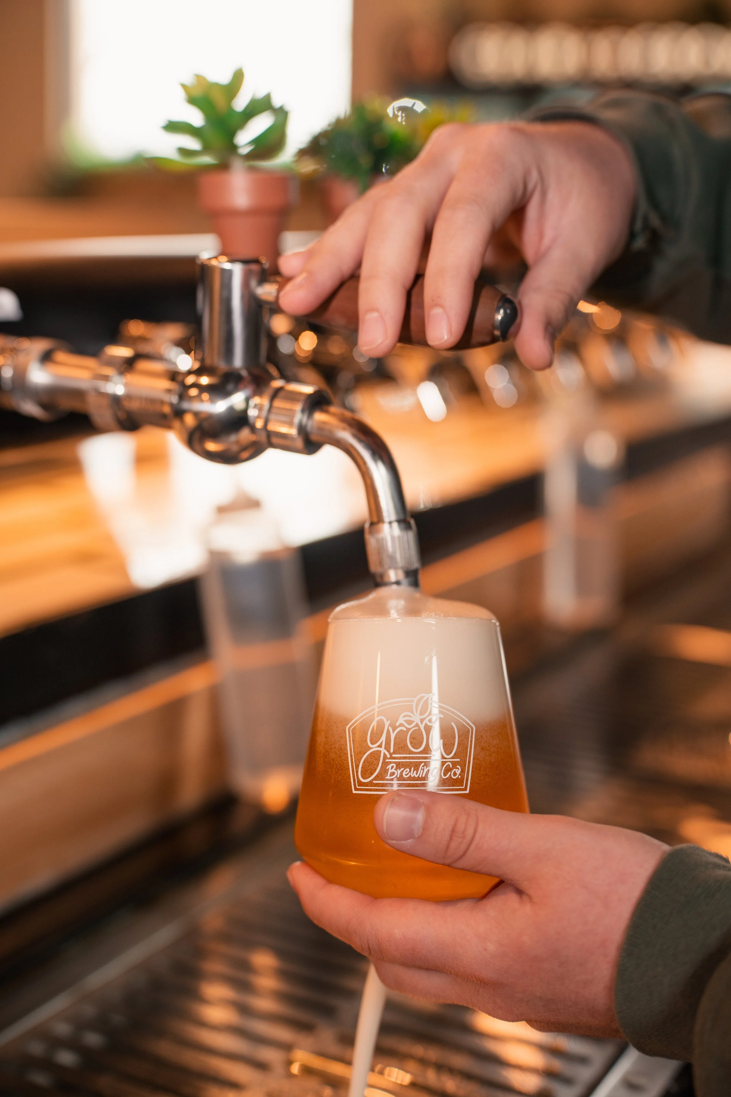 Person pouring a glass of beer from a tap at a brewery, with potted plants in the background.