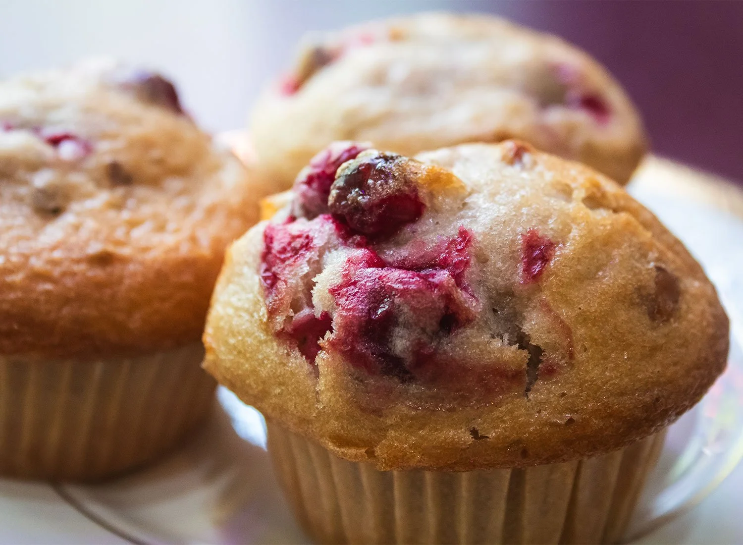 Cranberry Walnut Muffin