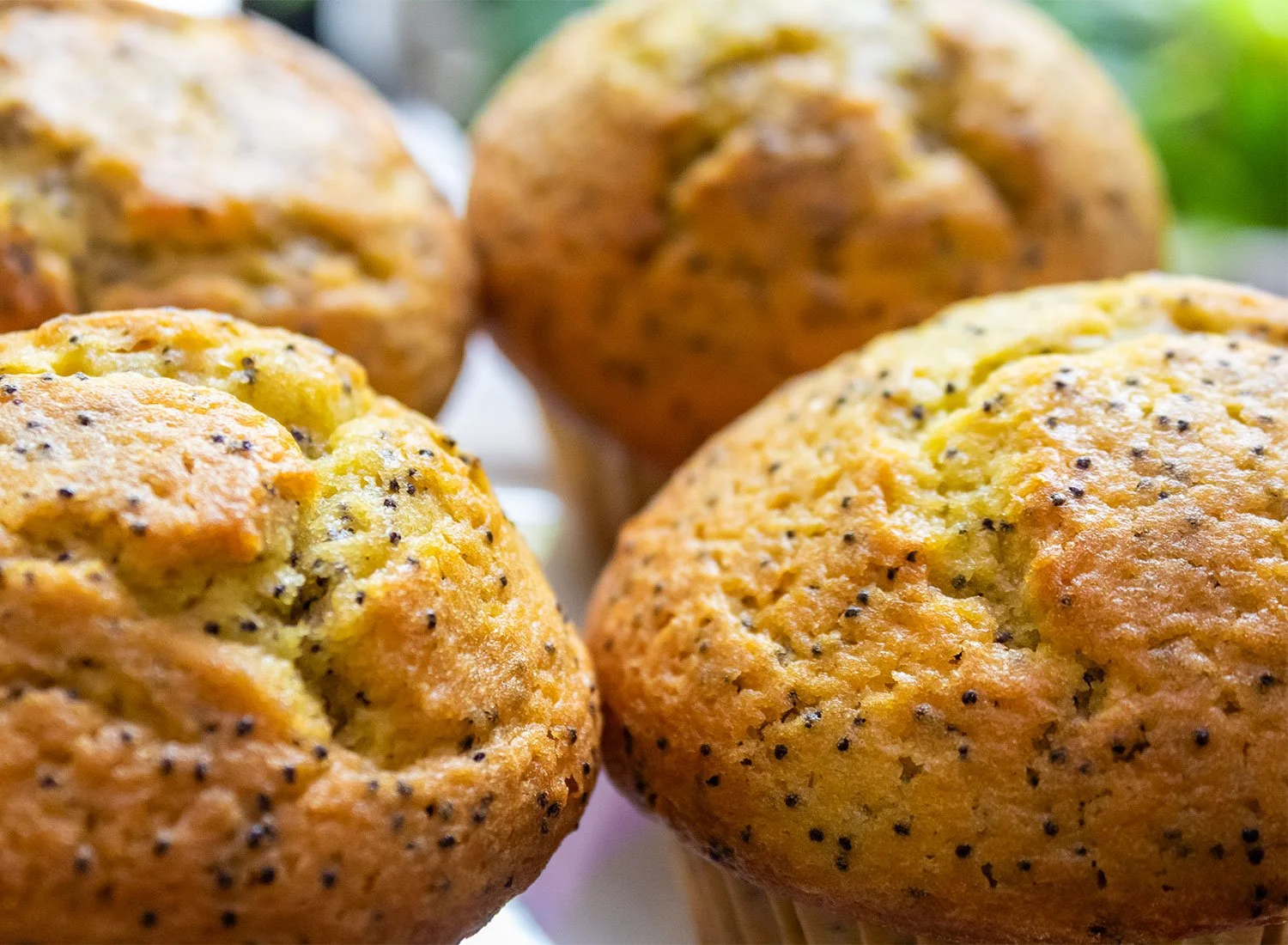Lemon Poppyseed Muffin
