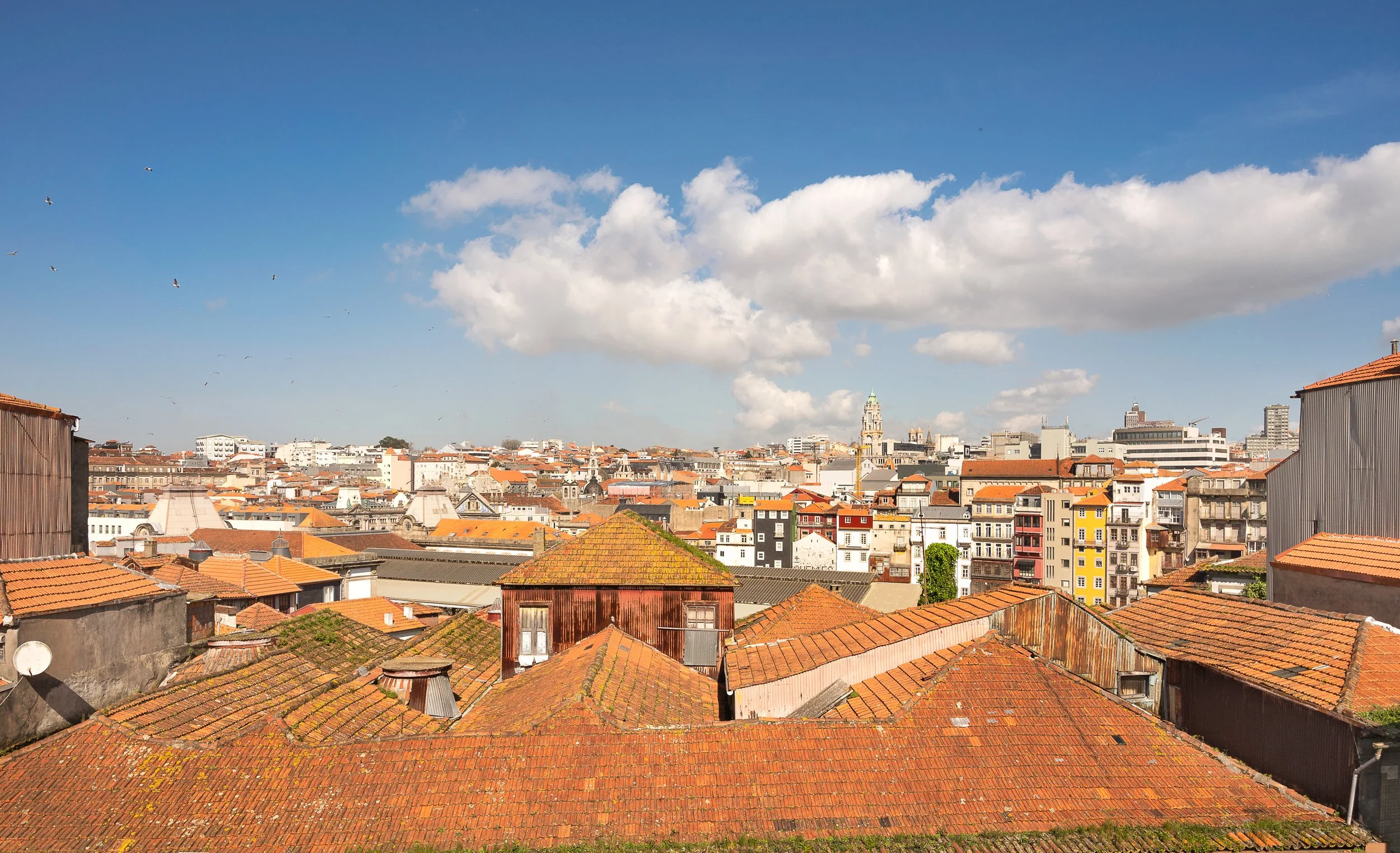 Z01_3235-Edit.jpg