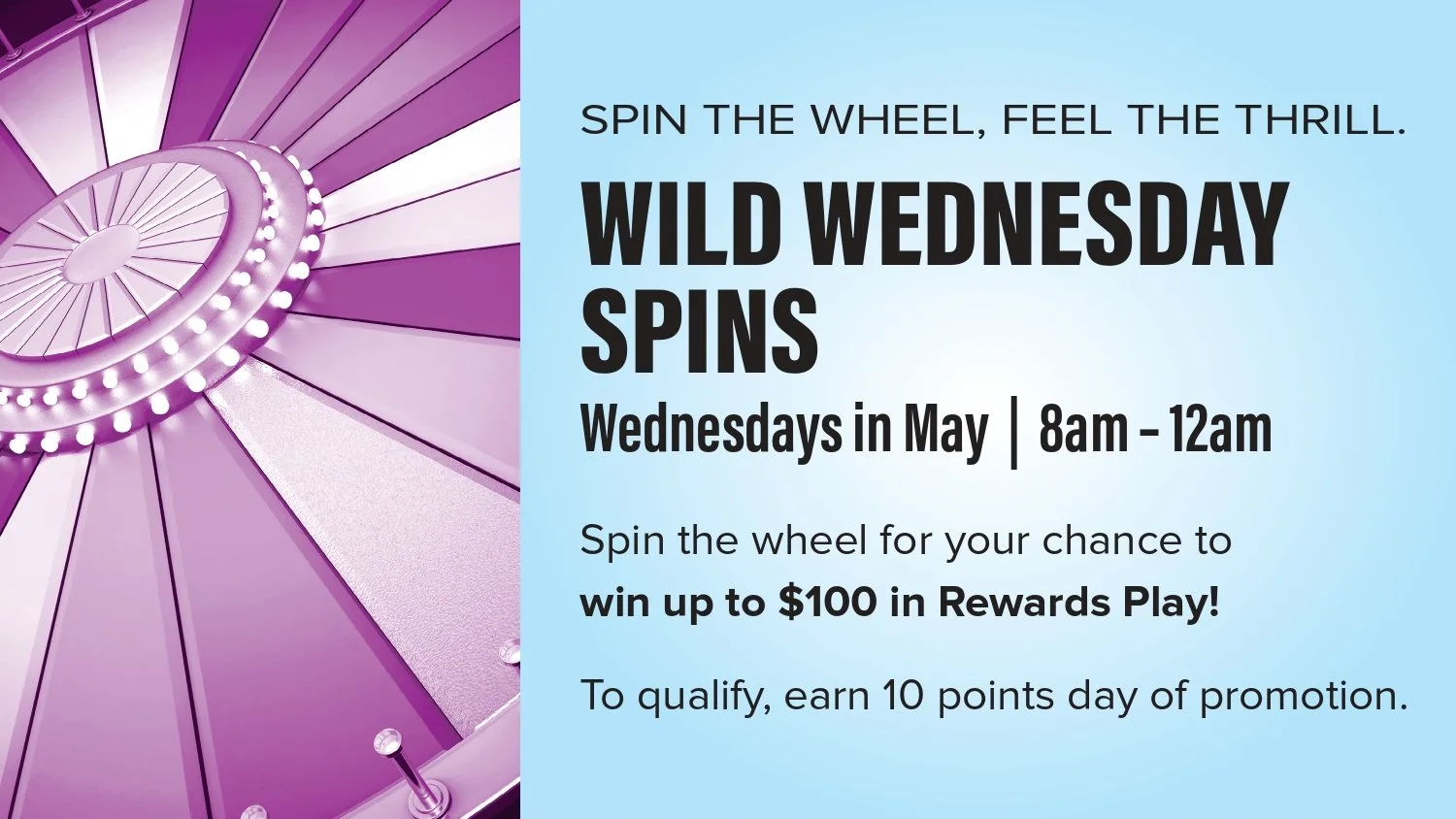 Wild Wednesdays 