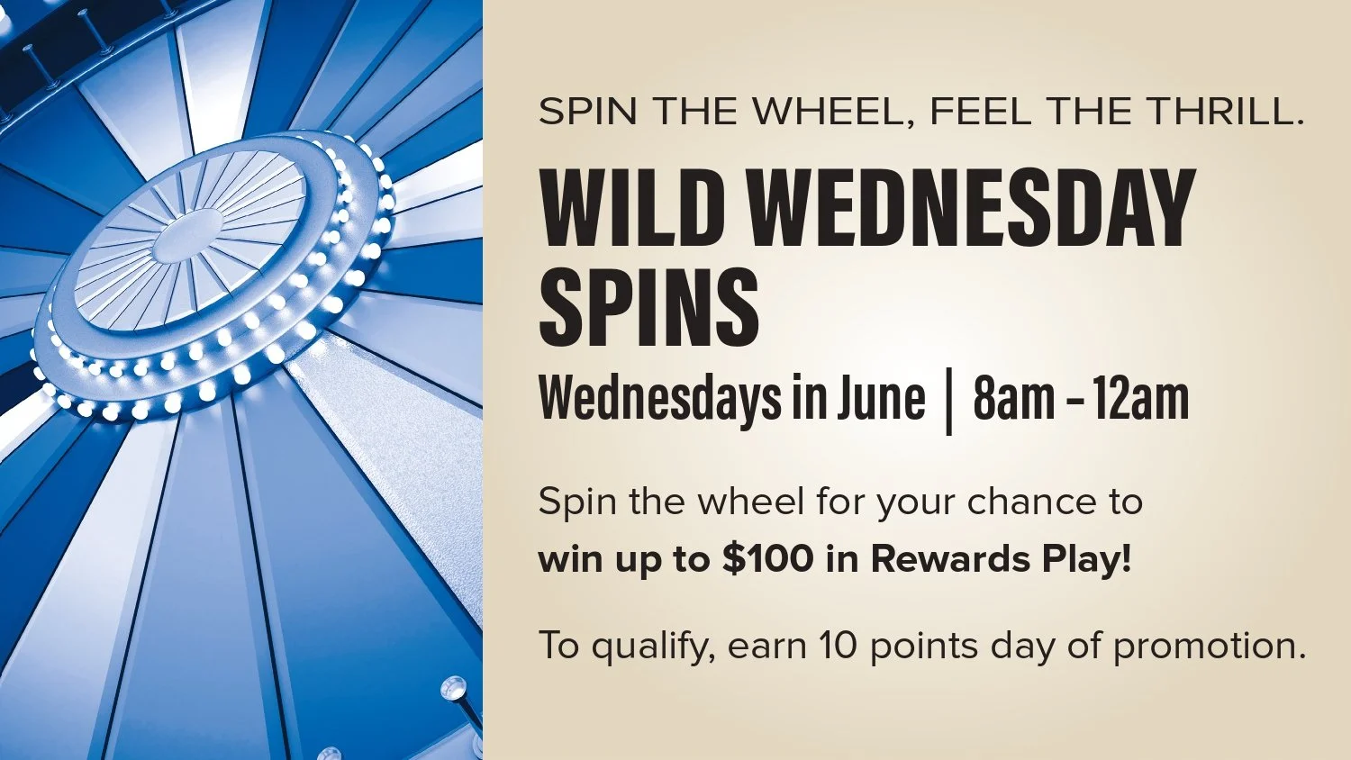 Wild Wednesdays