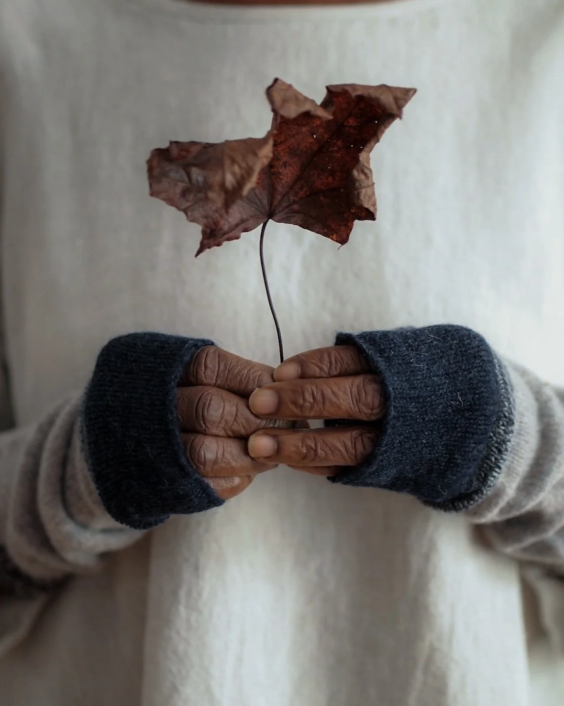 Person holding a dried leaf on a thin stem, wearing a gray sweater with dark blue cuffs.