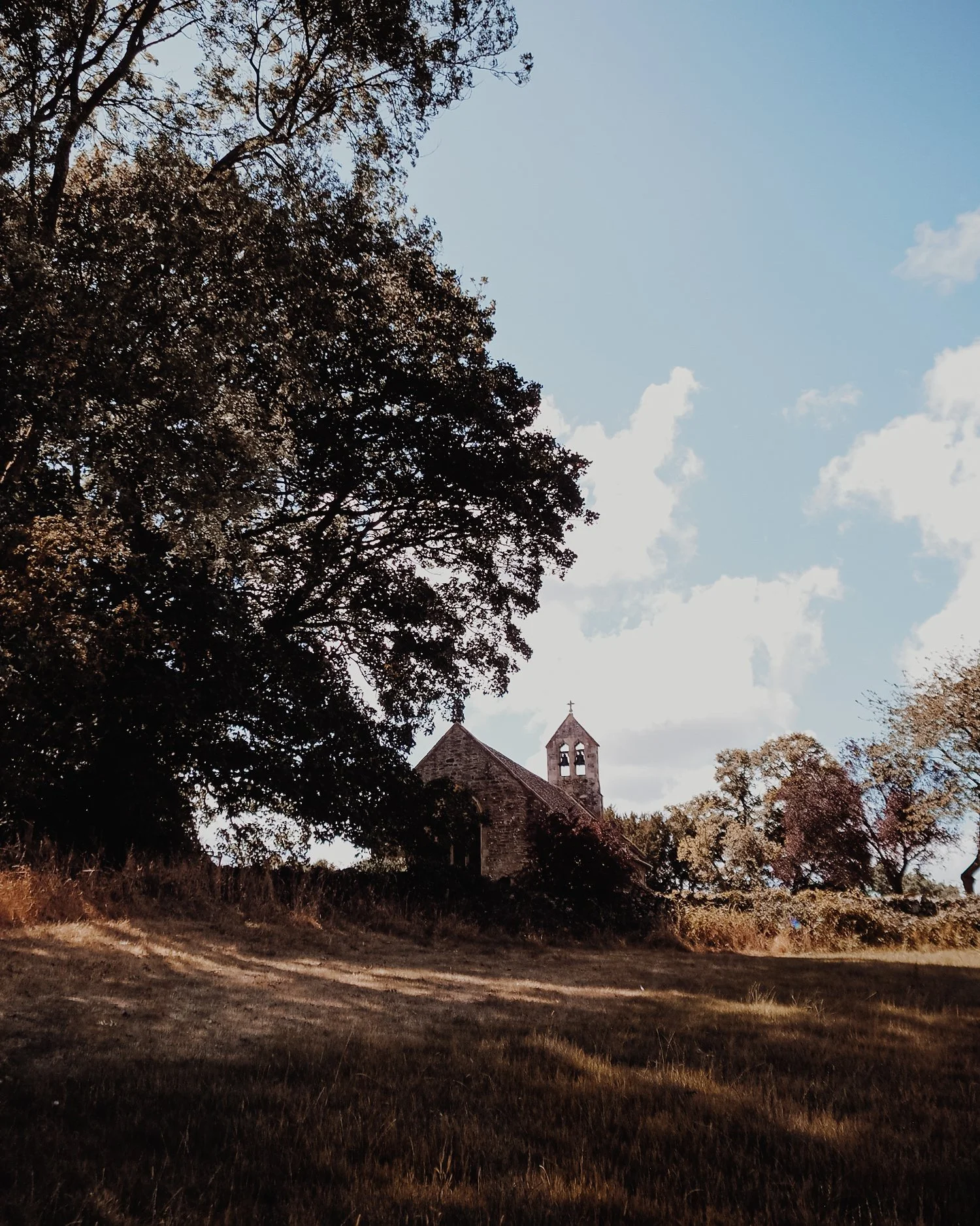Etheldreda's Church Hyssington, surrounded by ancient trees and the Shropshire landscape