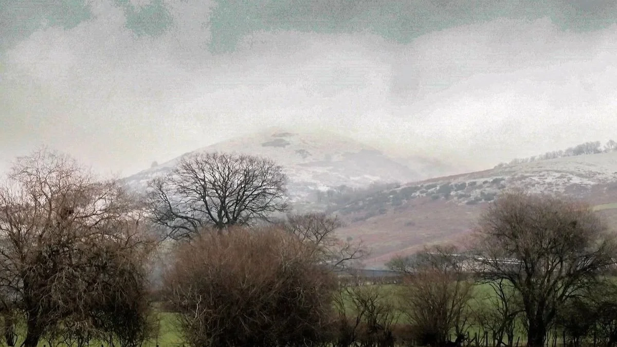 Snow-capped mountain in the background with leafless trees and green fields in the foreground.