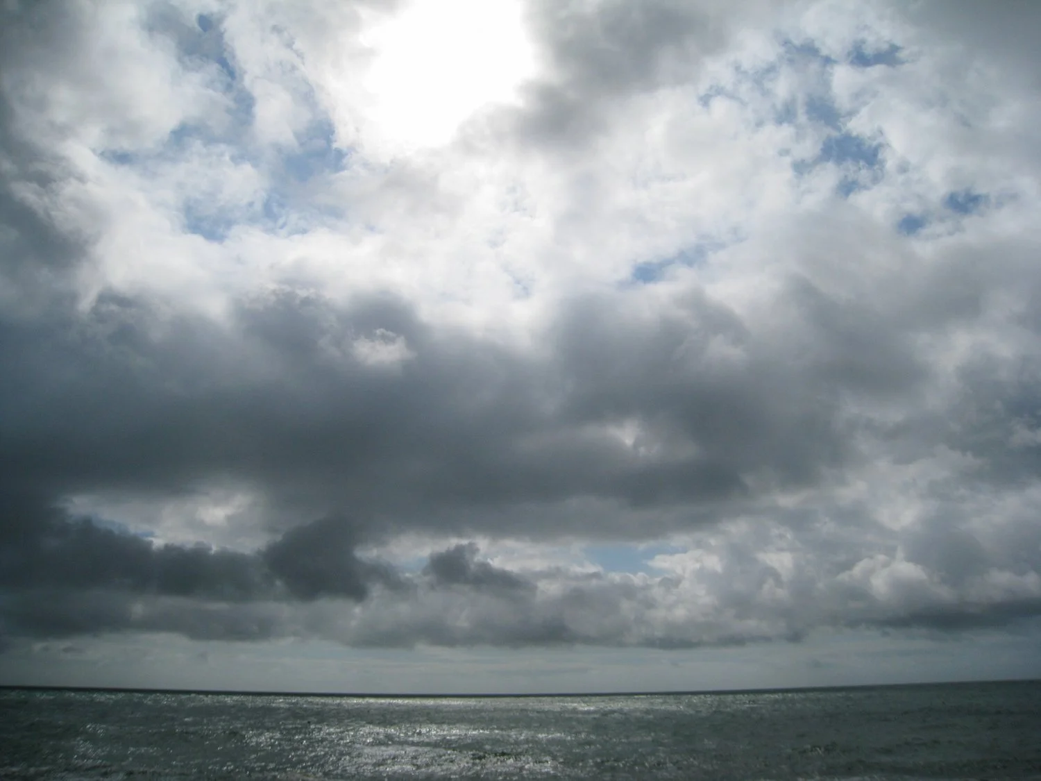 IMG_2008.jpg