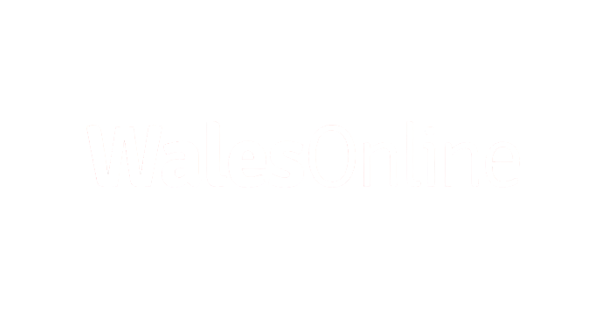 Logo text that reads 'WalesOnline' in black and white.