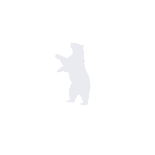 Small Bear Construction