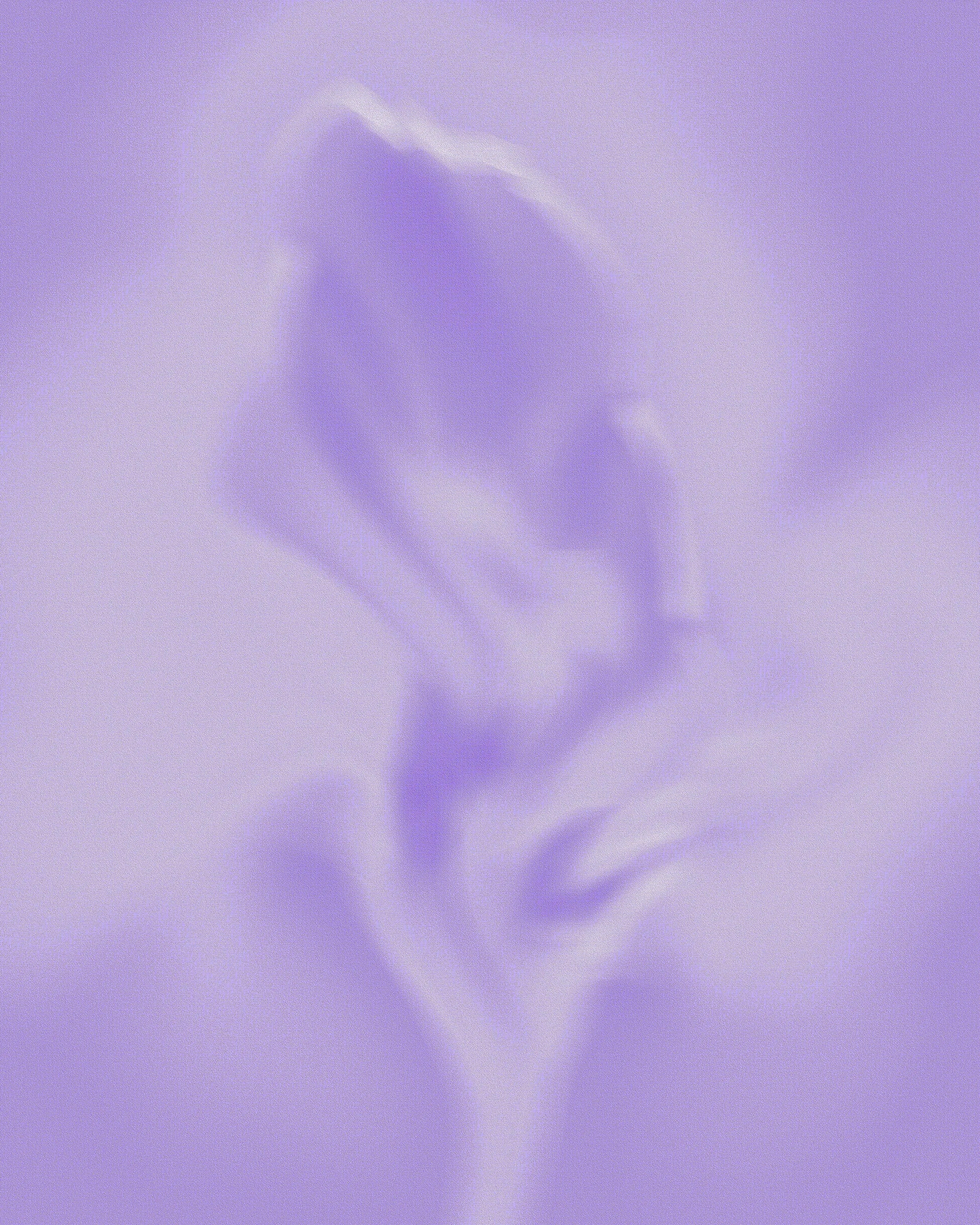 Une image abstraite de fleurs pastel avec des couleurs violettes et des effets de déformation.