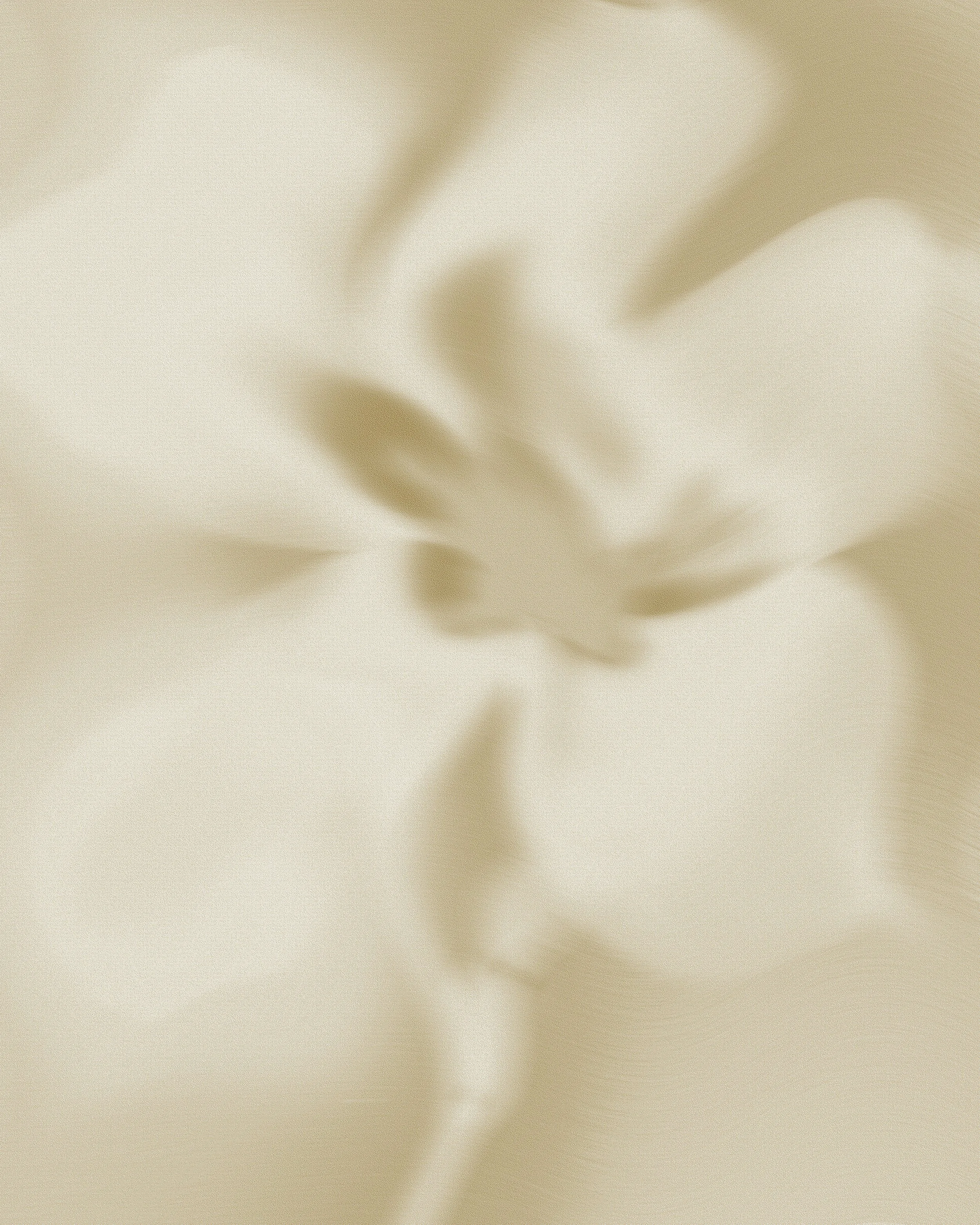 Une photo floue d'une fleur blanche ou crème avec des pétales délicats et une texture douce.