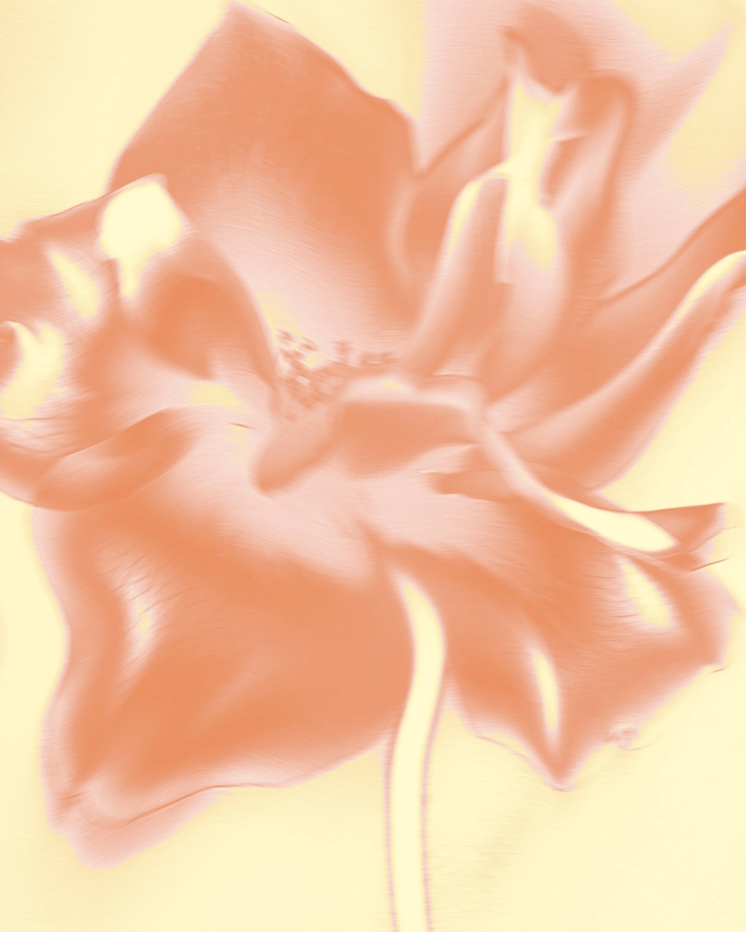 Une image abstraite de fleurs pastel avec des couleurs orangées et des effets de déformation.