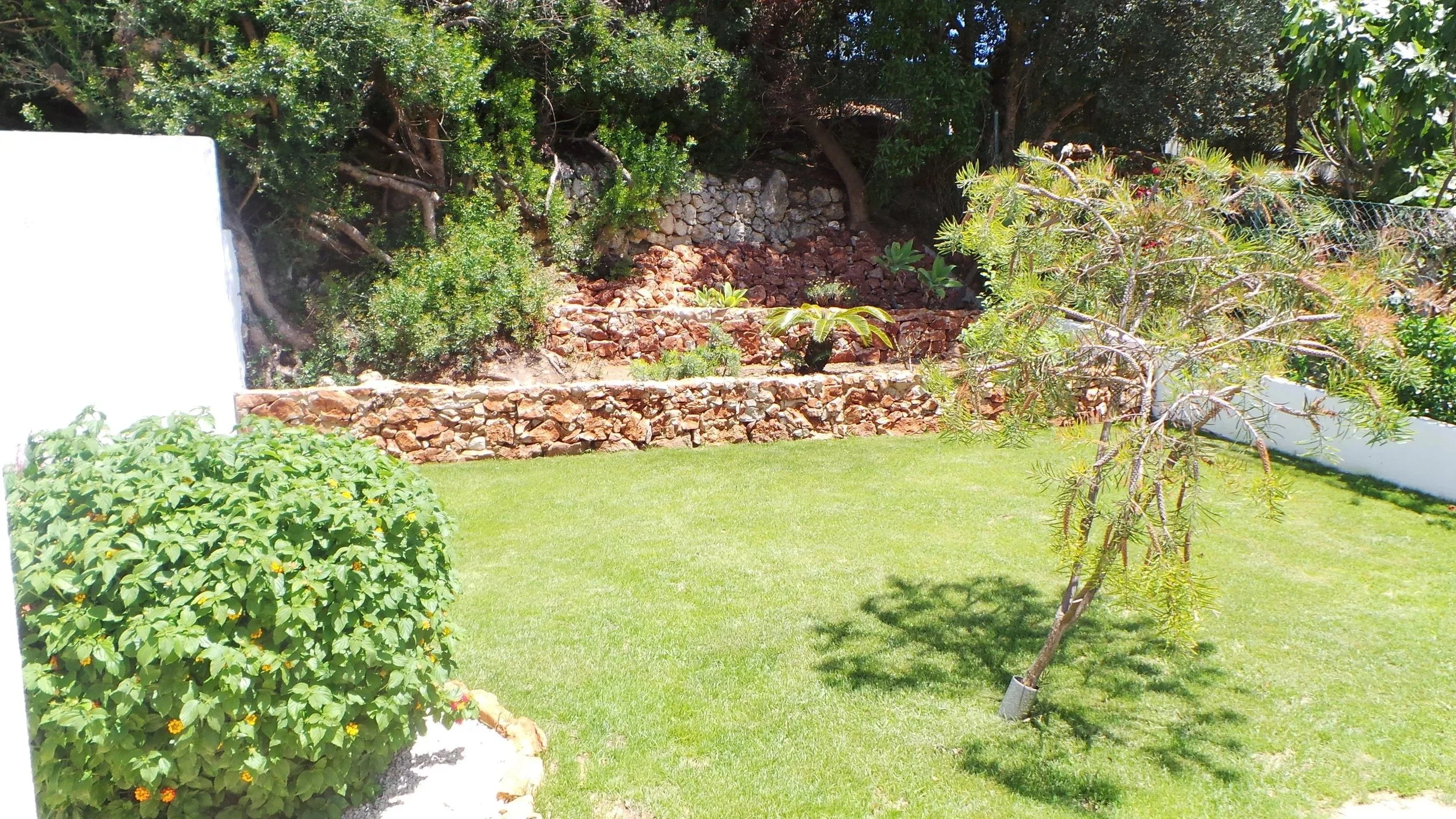 imgi_12_20120101_063838.jpg