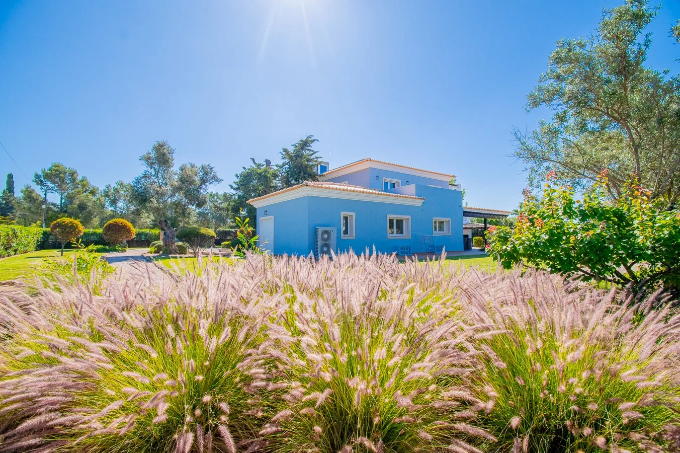 Casa Cedra