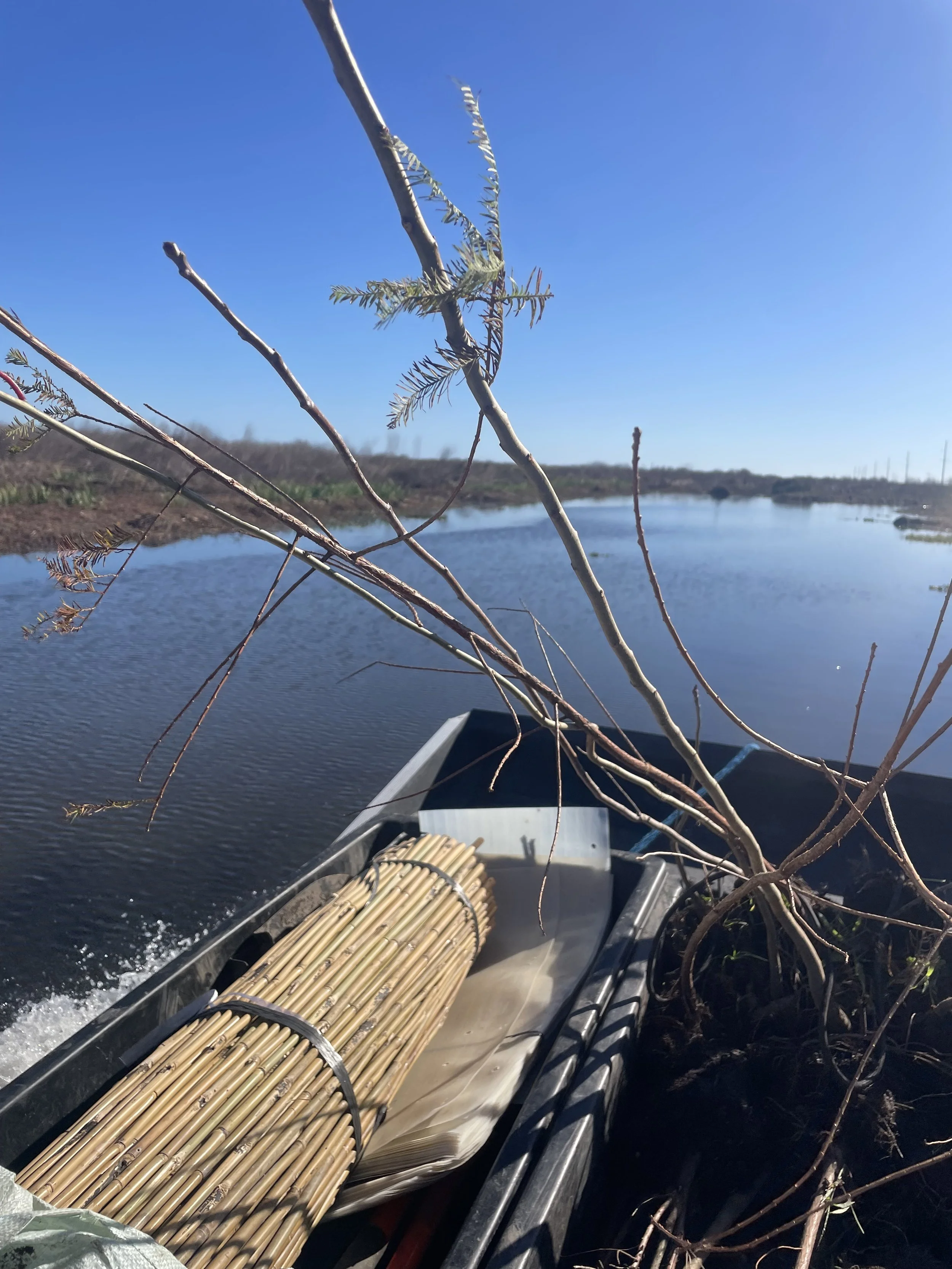 Going to plant trees with CRCL. A boat on a river or lake carrying bamboo poles with a branch and leaves in the foreground, a flat landscape with water, and a clear blue sky in the background.