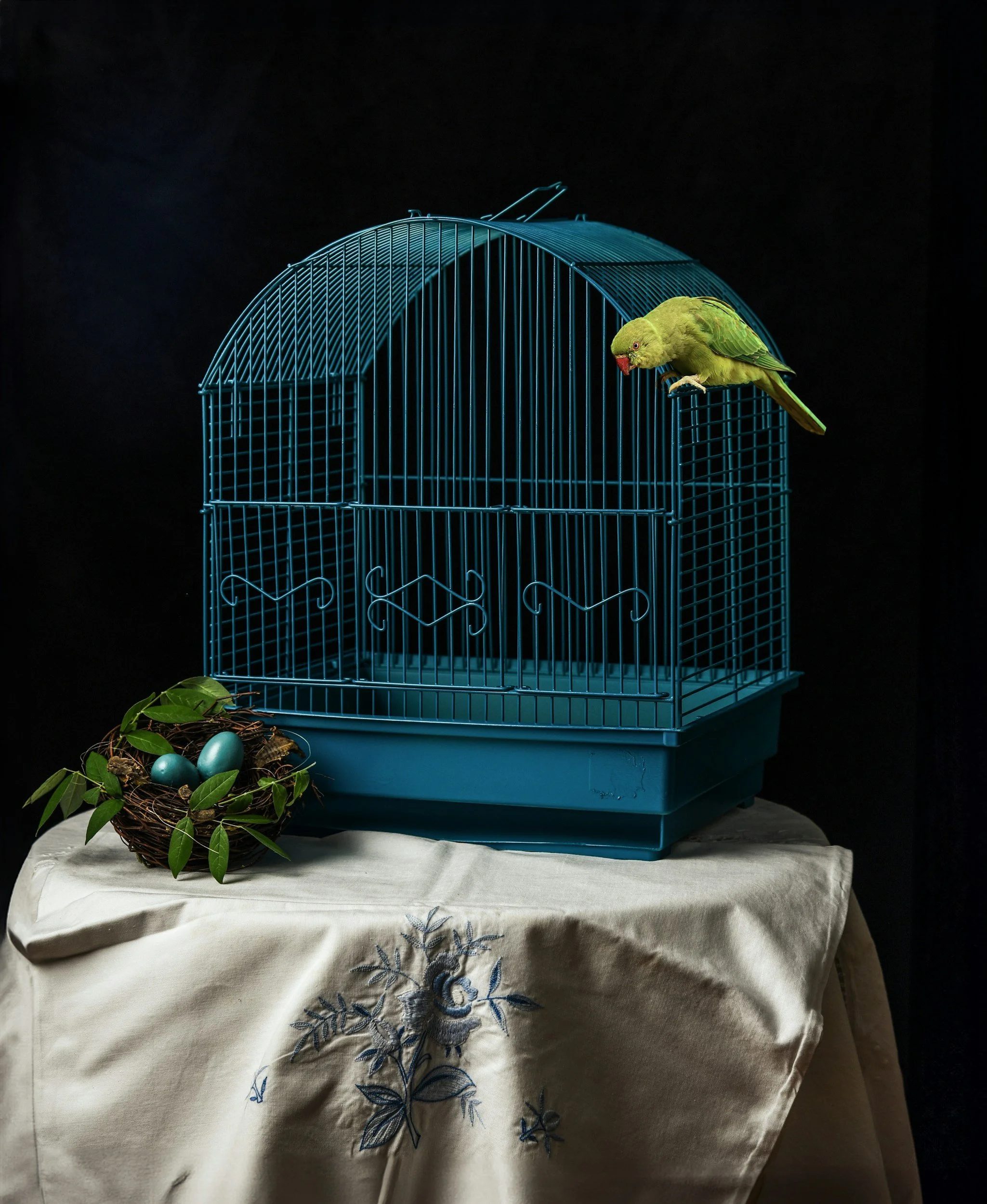 Ernst is coming home (New Flash Fiction Review 2025, Best Microfiction Anthology 2026)