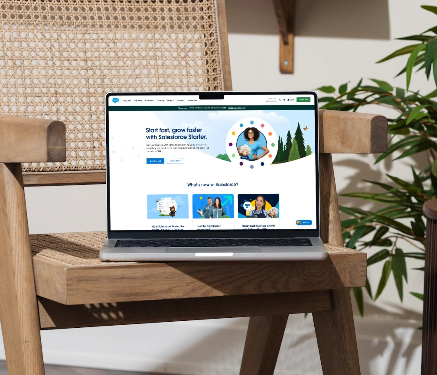 Laptop on a wooden table displaying a college consultant's screen. College application, college admissions consulting