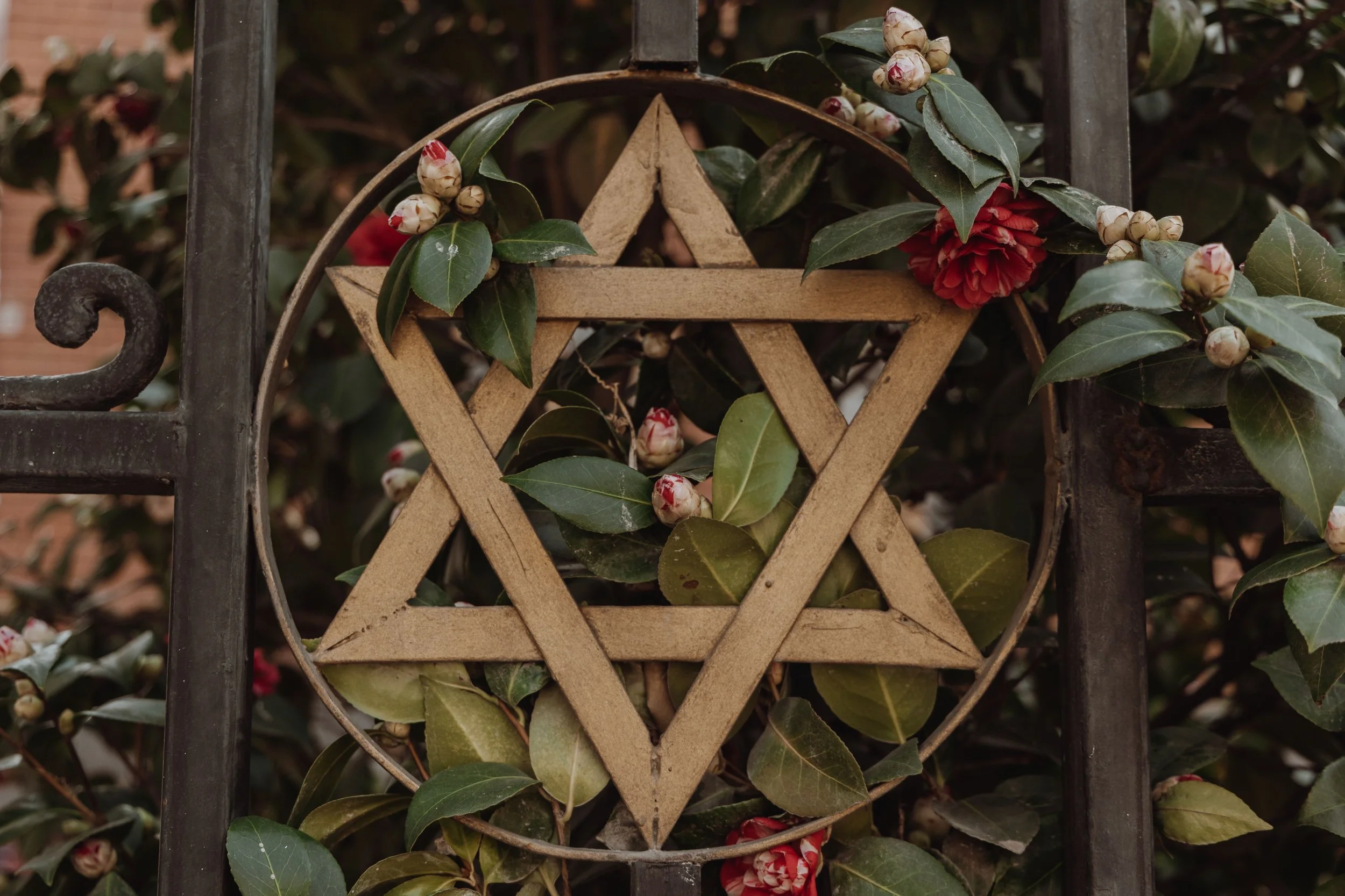 Assessing Jewish Life and Campus Climate