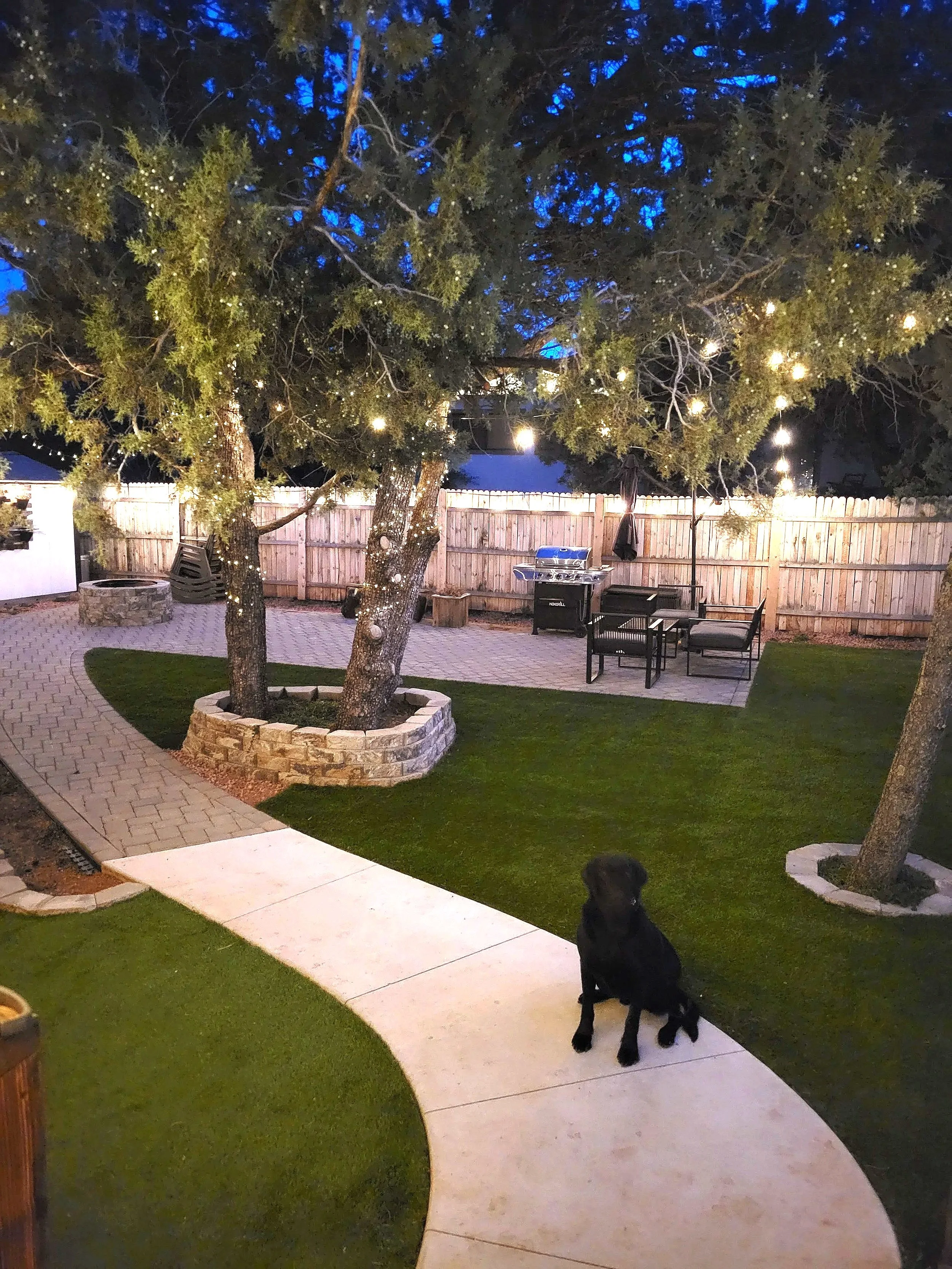 A backyard patio scene at dusk with a large tree decorated with string lights. There is a fenced yard, outdoor furniture, a grill, and two dogs, one black in the foreground and one small dog near the bottom right corner.
