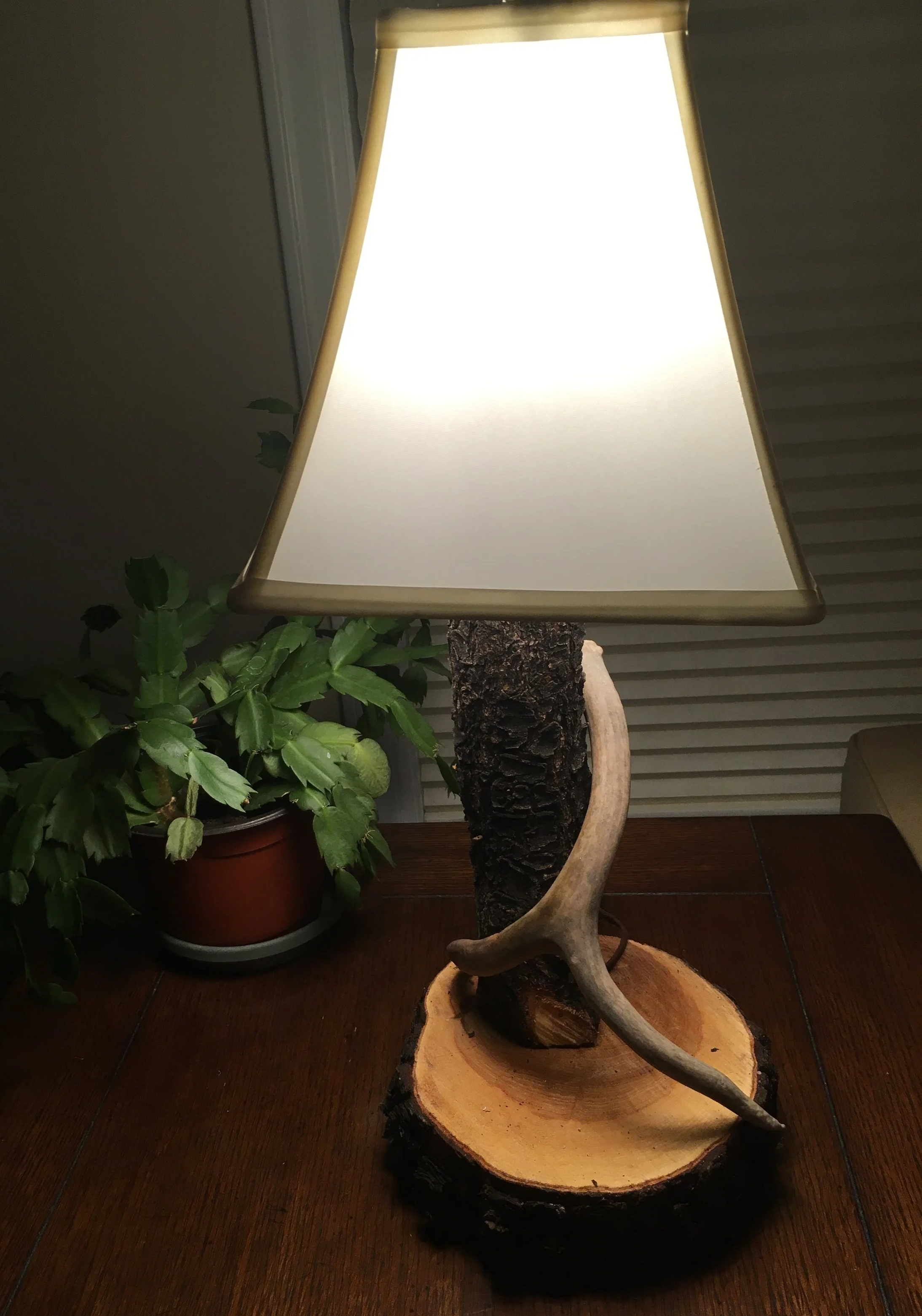 Gator Home Services- Payson-Hand bult Lamp Made from Pine Trees and a mule deer antler