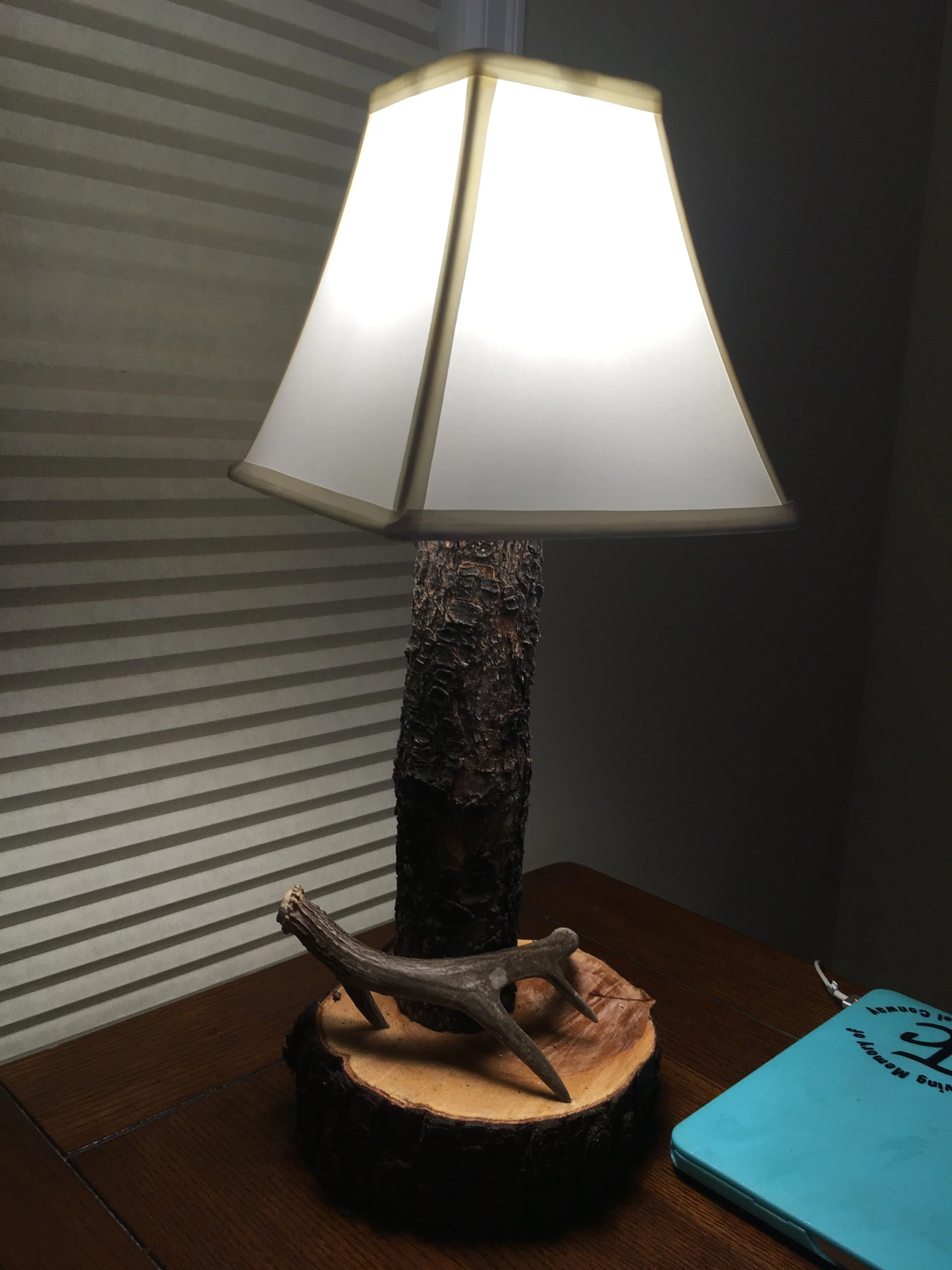 Gator Home Services- Payson-Hand bult Lamp Made from Pine Trees and a coues deer antler