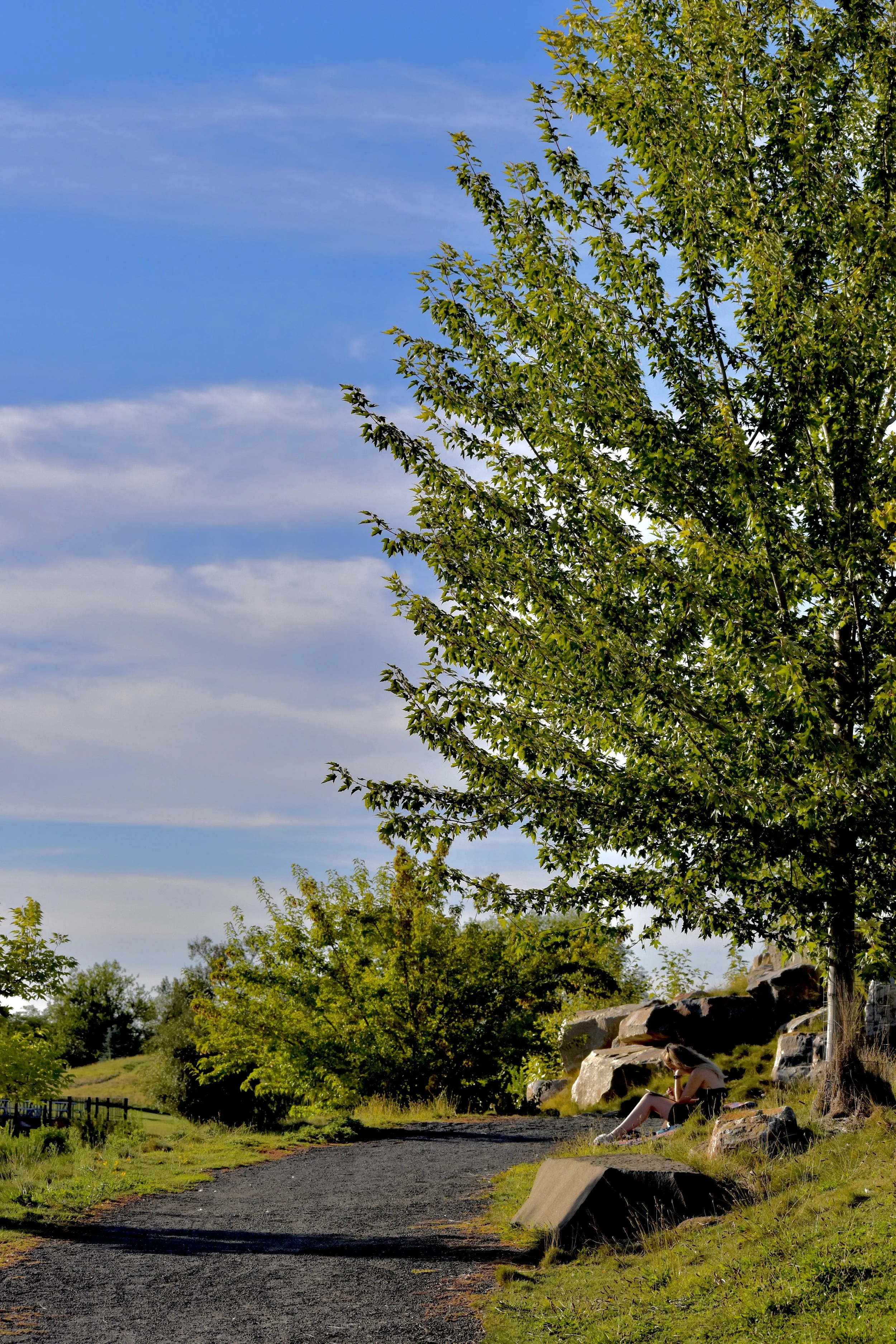 DSC_0333.JPG