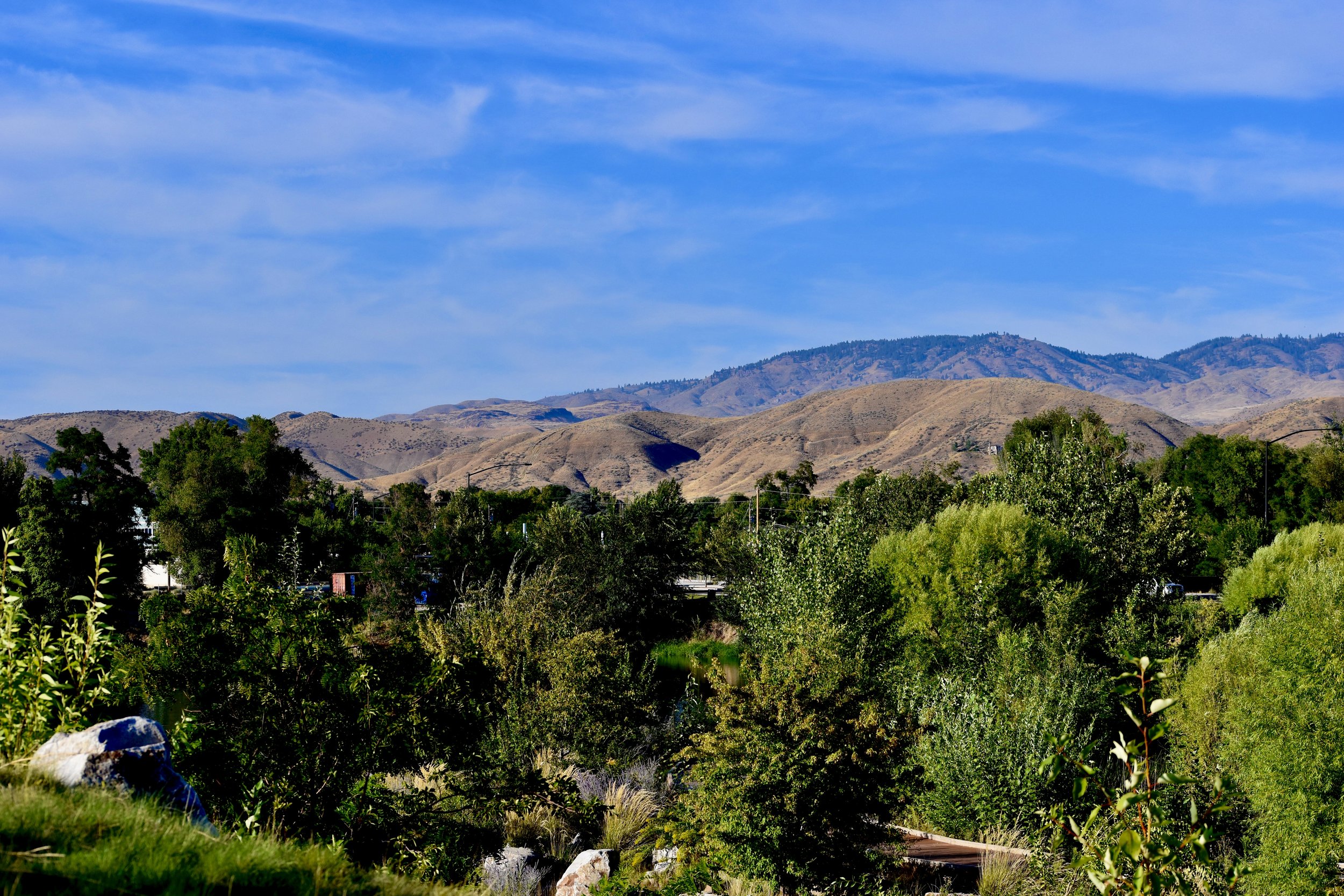 DSC_0347.JPG