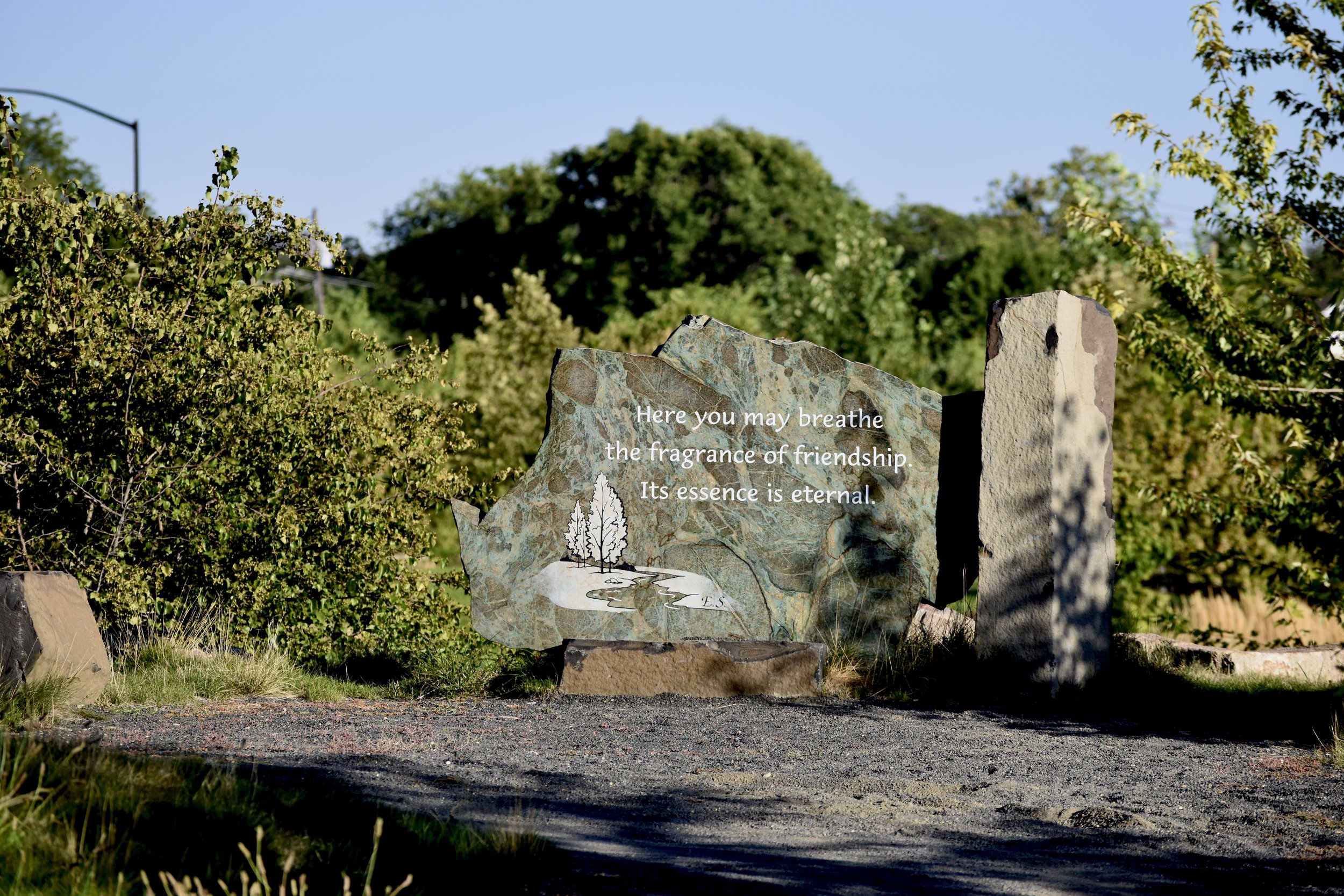DSC_0341.JPG