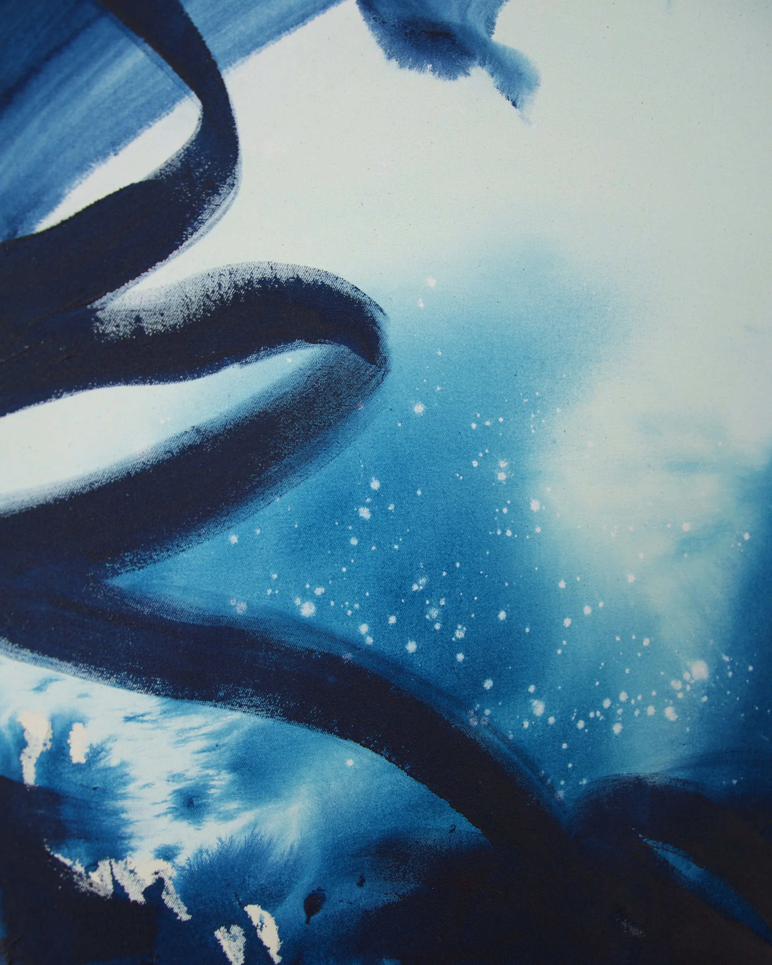 DSC_0446.jpeg