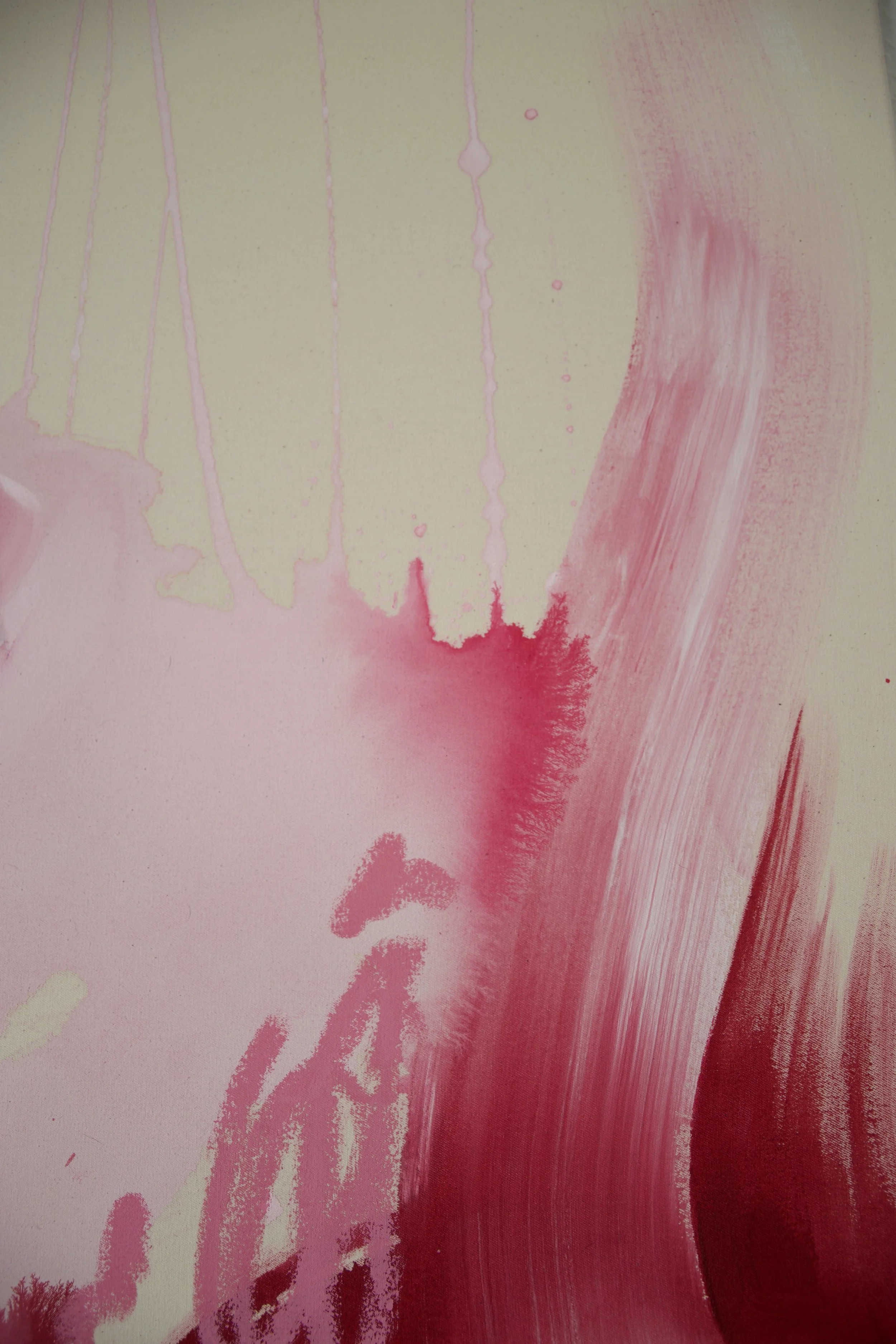 DSC_0458.jpeg
