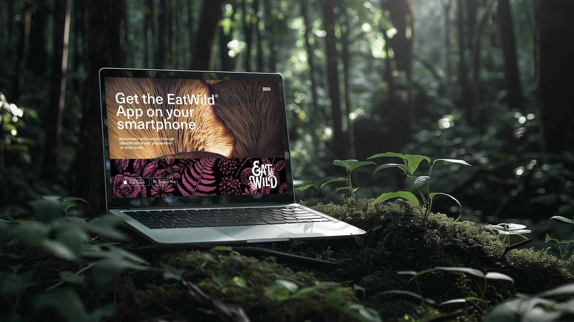 Laptop-in-forest-Eat-Wild_1920_1080.jpg