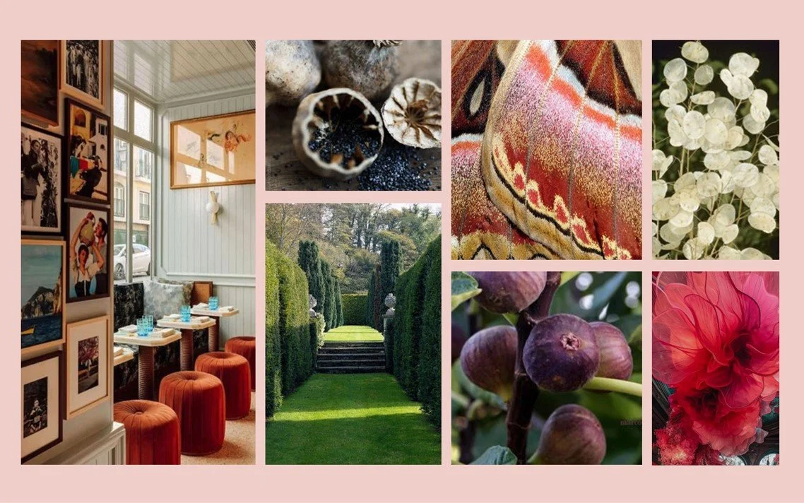 Concept Moodboard