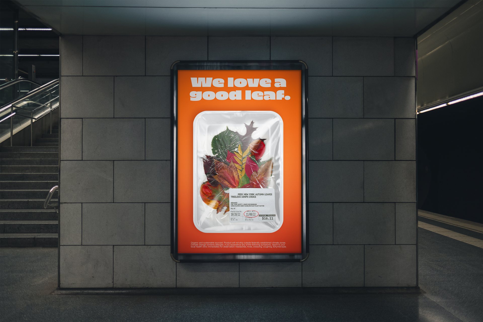 mockup-leaf-poster.png