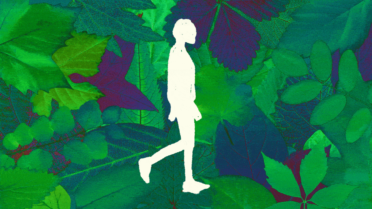 White silhouette of a woman walking with one leg lifted, set against a background of green and purple leaves.