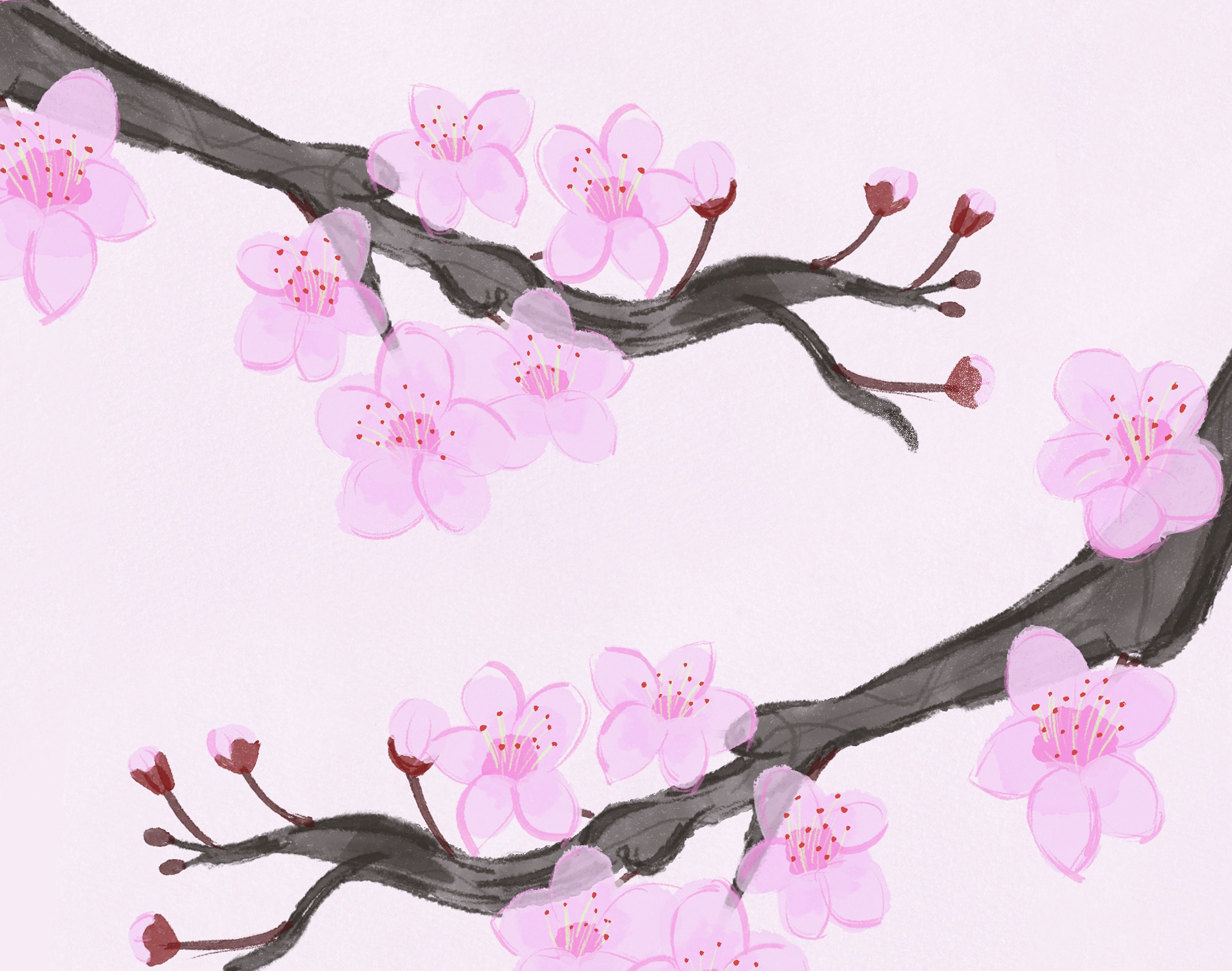 cheery-blossom-slide-1.png