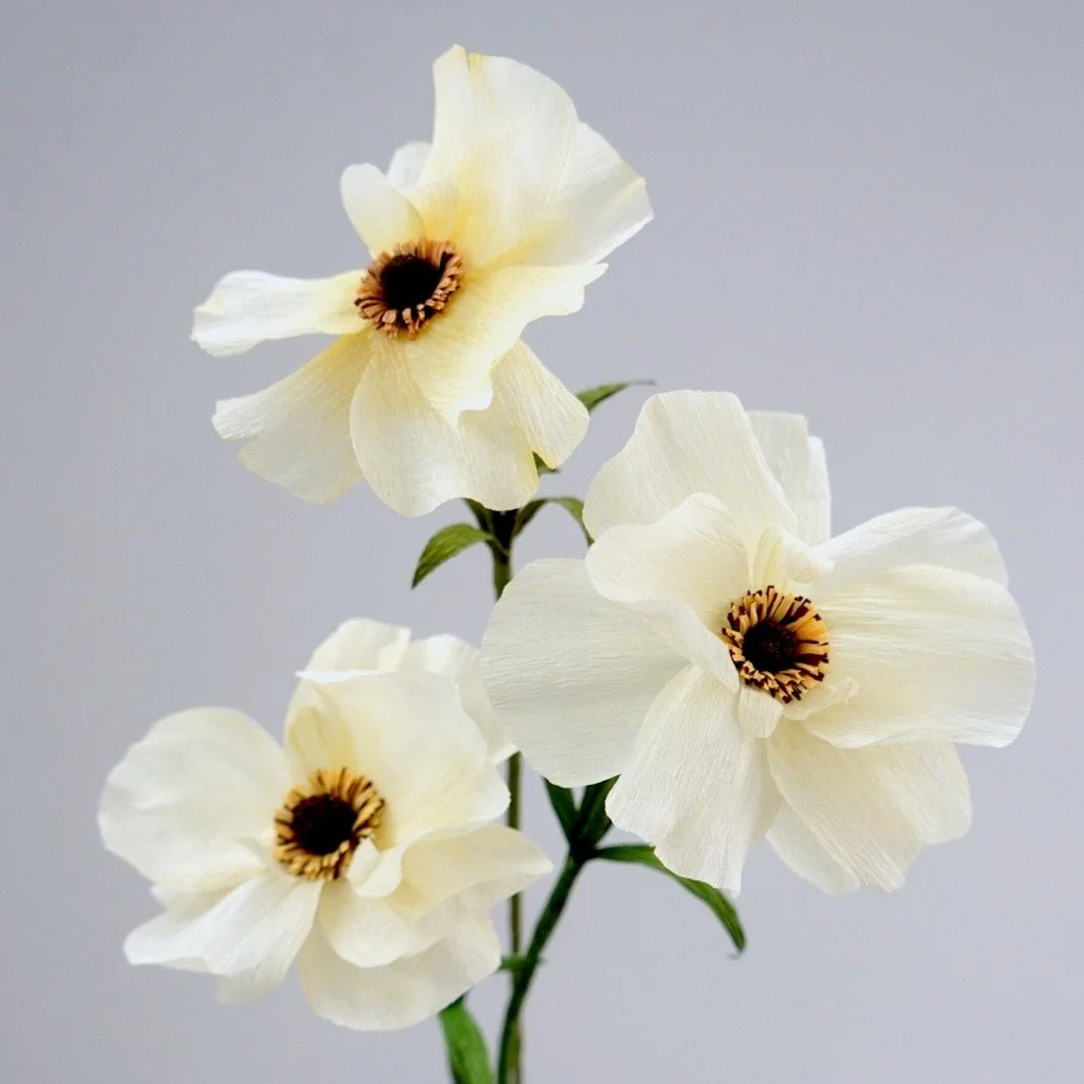 A close-up of a white realistic paper flower handmade by Jasmine Sing, paper artist from Merremade.
