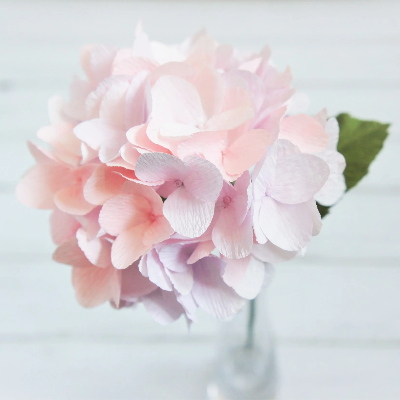 A pink hydrangea realistic paper flower with a green leaf in the background handmade by Jasmine Sing, paper artist from Merremade.