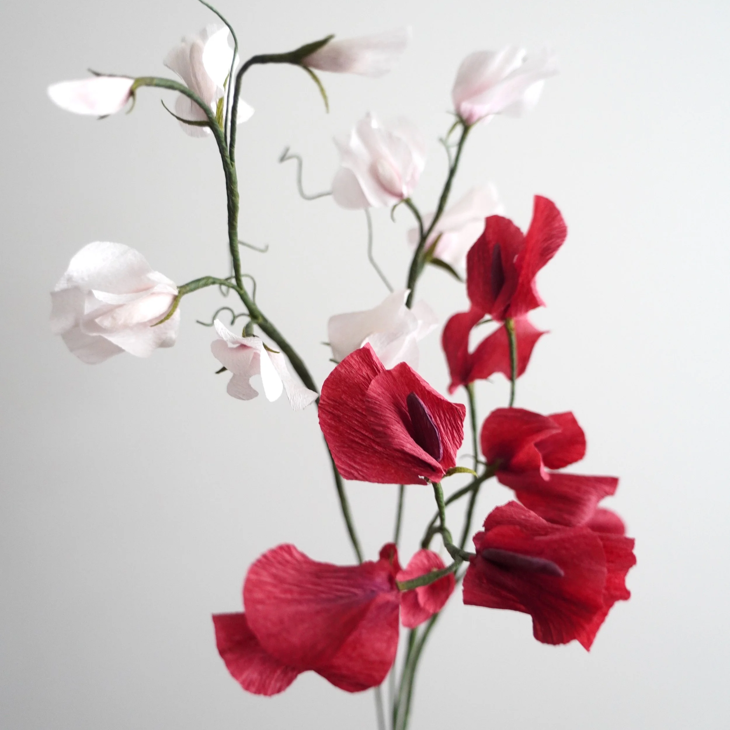 Close-up of a bouquet of realistic paper sweetpea flowers handmade by Jasmine Sing, paper artist from Merremade.