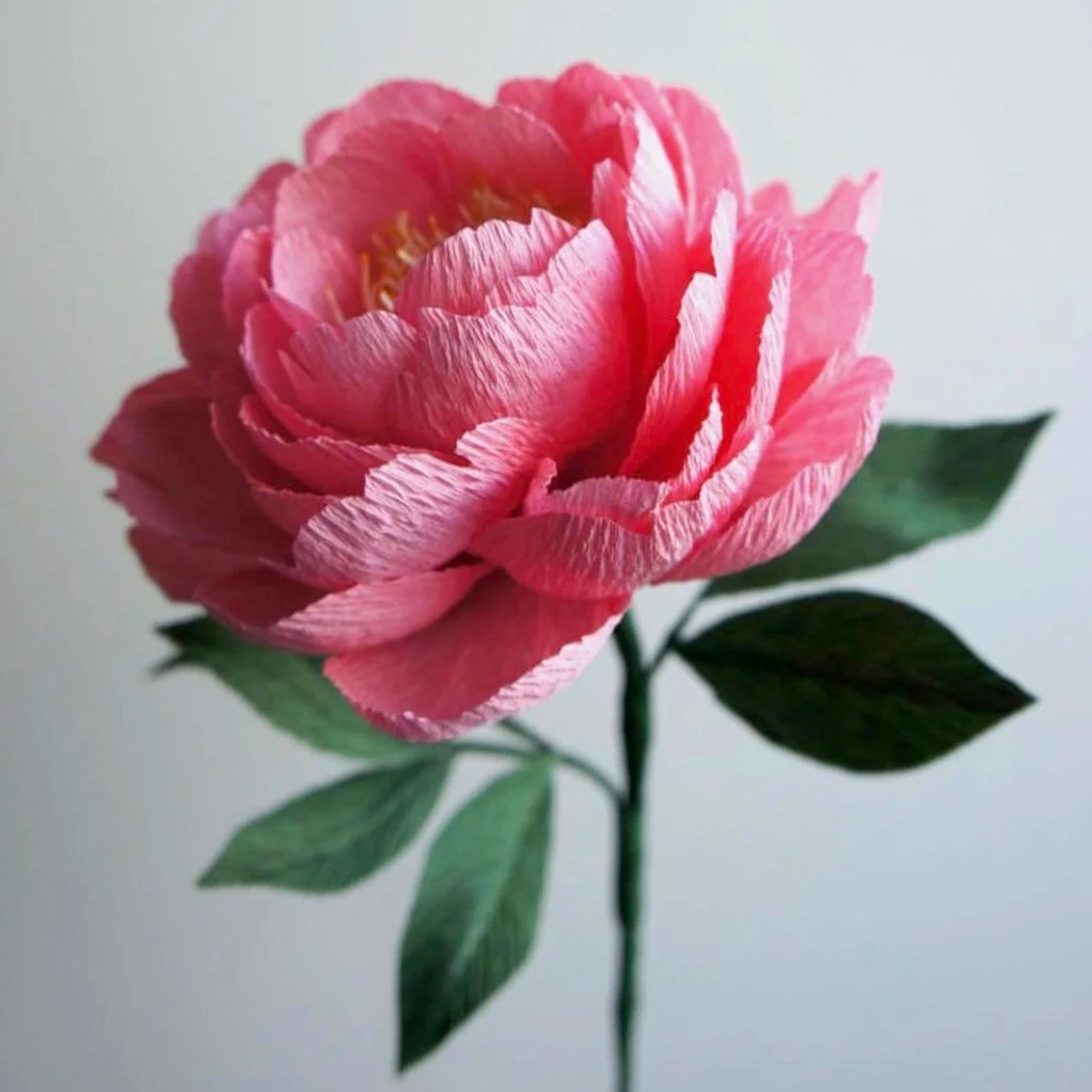 A close-up of a pink realistic paper peony flower with green leaves handmade by Jasmine Sing, paper artist from Merremade.