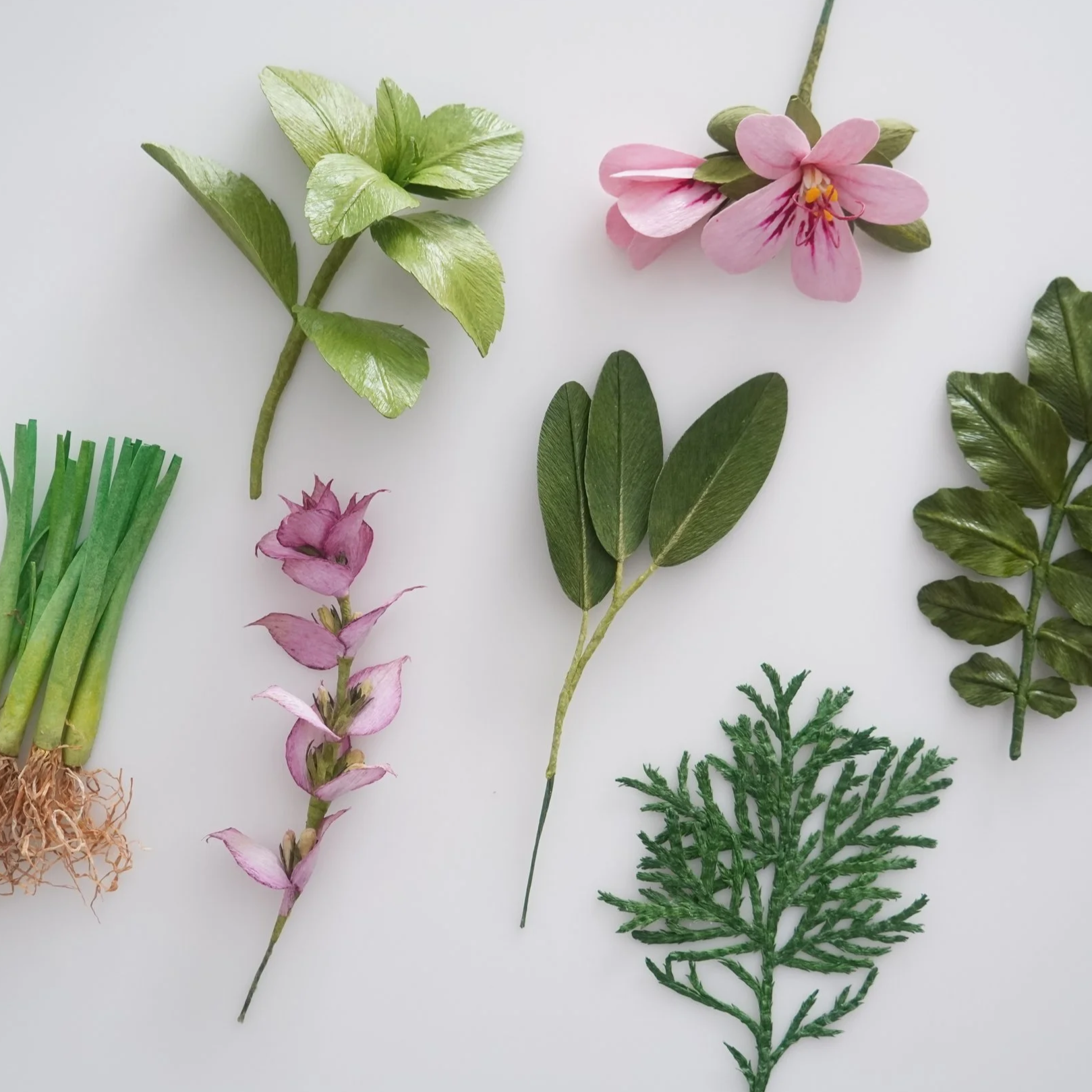 Realistic paper herbs with green leaves, pink flowers, and a small bunch of roots on a white background handmade by Jasmine Sing, paper artist from Merremade.