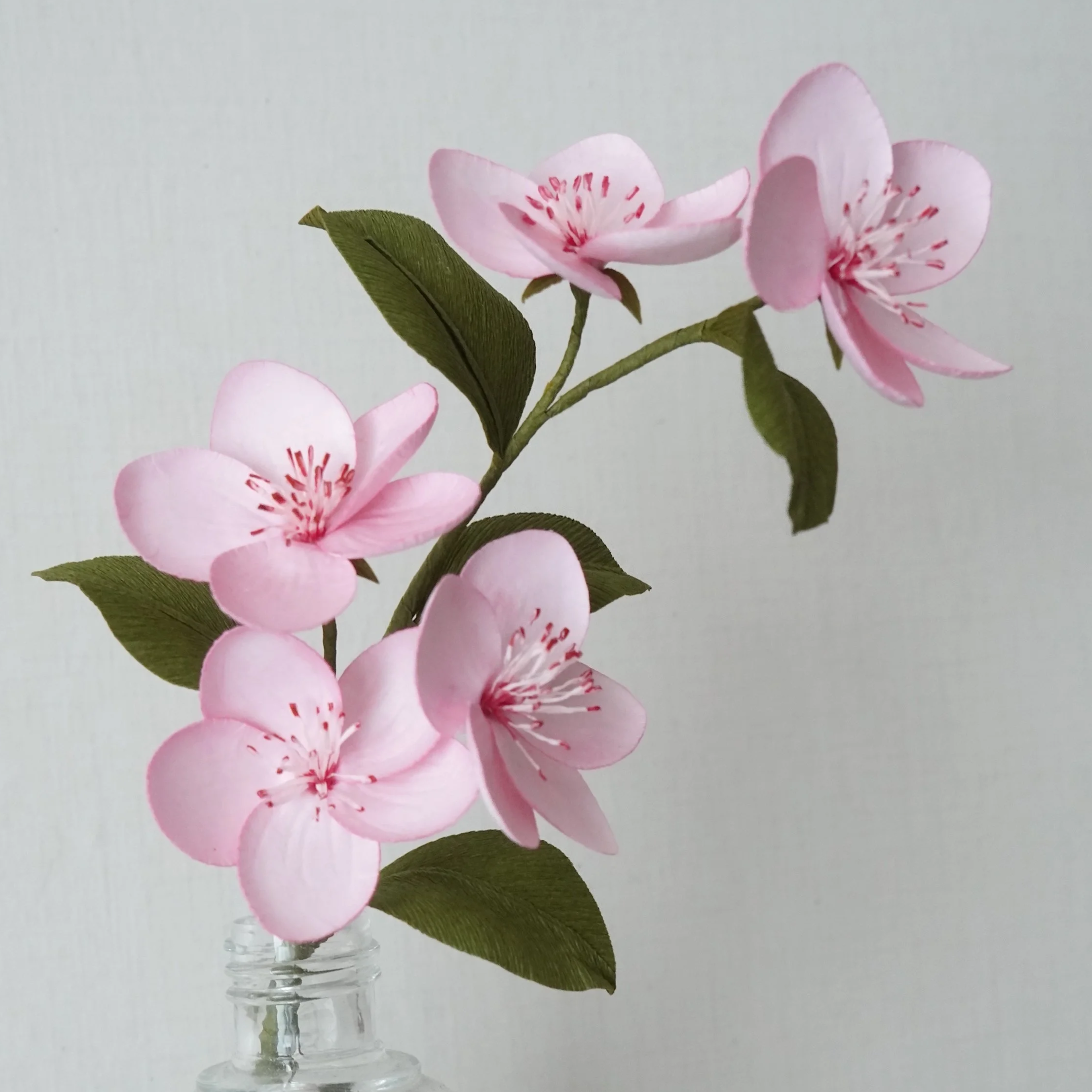 Realistic paper flower handmade by Jasmine Sing, paper artist from Merremade.